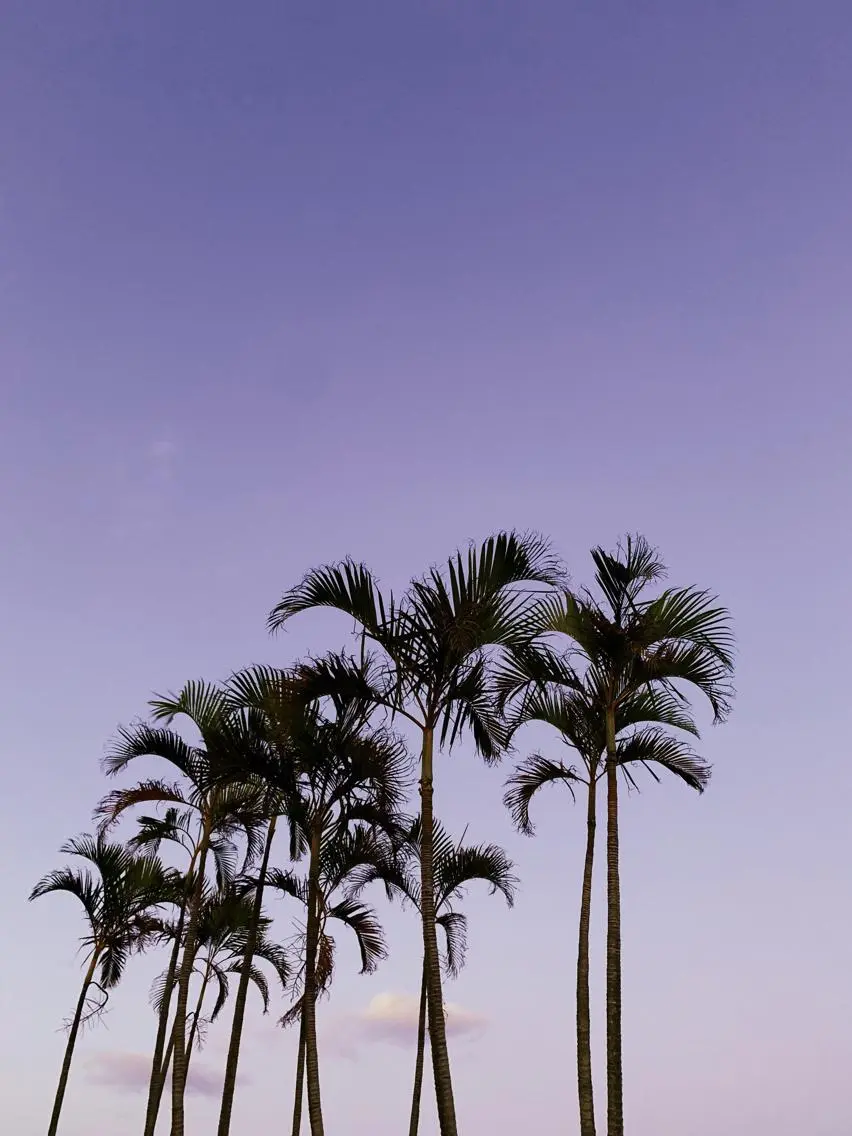 𝐘𝐎𝐒𝐇𝐈 𝐌𝐈🌞🏝のマツエク・マツパデザイン