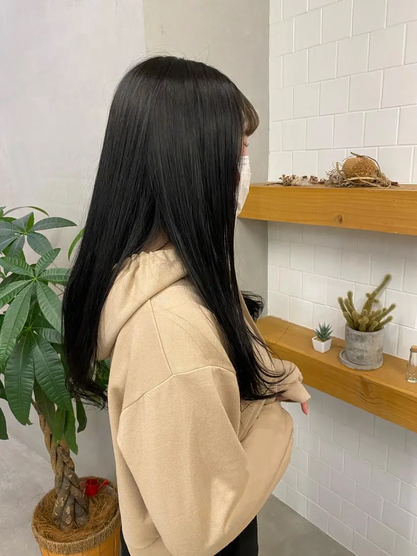 ロング カラー 黒髪 ハイライトカラー ハイライト 、 、のヘアスタイル