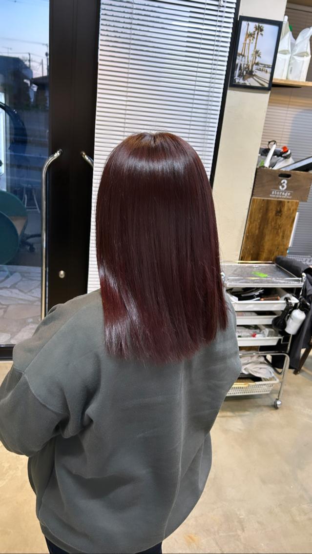 カラー ブラウンカラー ピンクカラー デザインカラー／ 梶本 乃梨叶のヘアスタイル