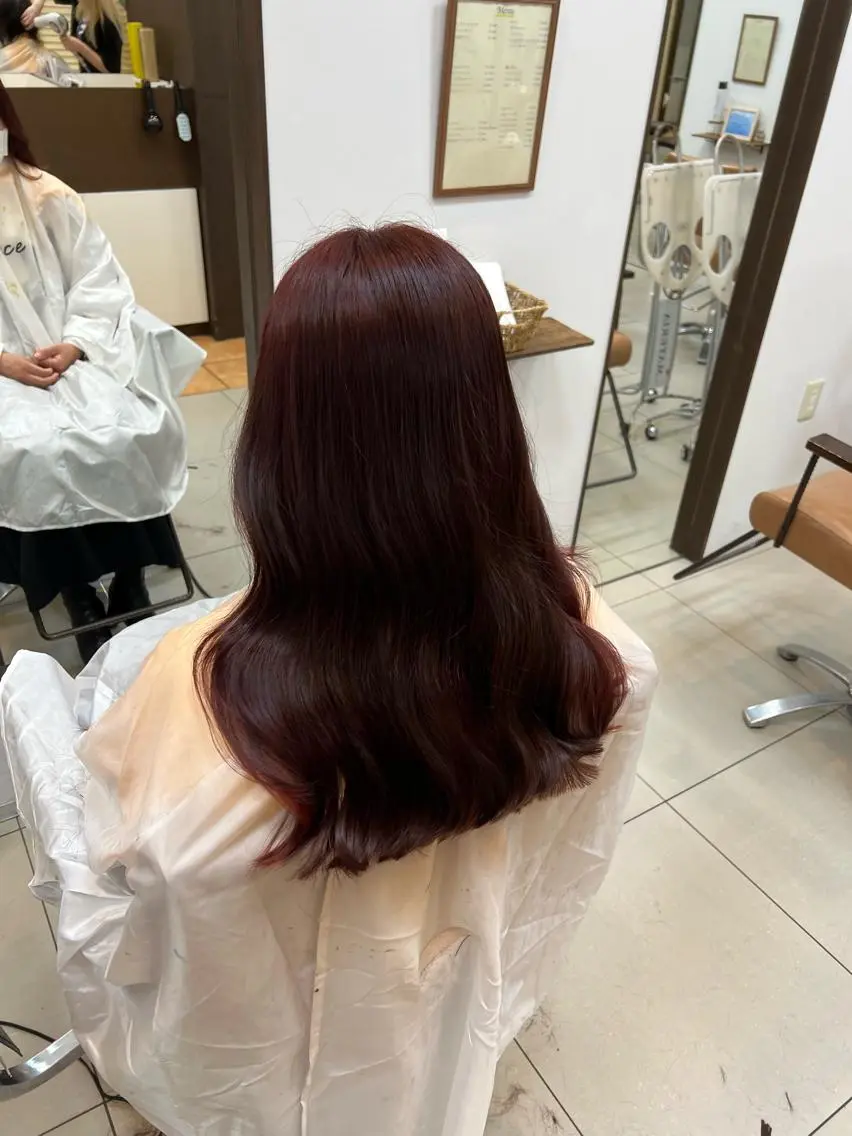 ロング カラー ブリーチ カシス ダブルカラー レッドカラー 韓国風ヘア アオリ/韓国風 ハイトーン/レイヤーのヘアスタイル