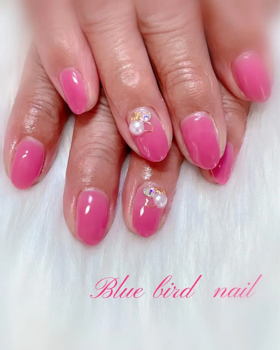 ネイル ハンドネイル Blue bird  nailのネイルデザイン