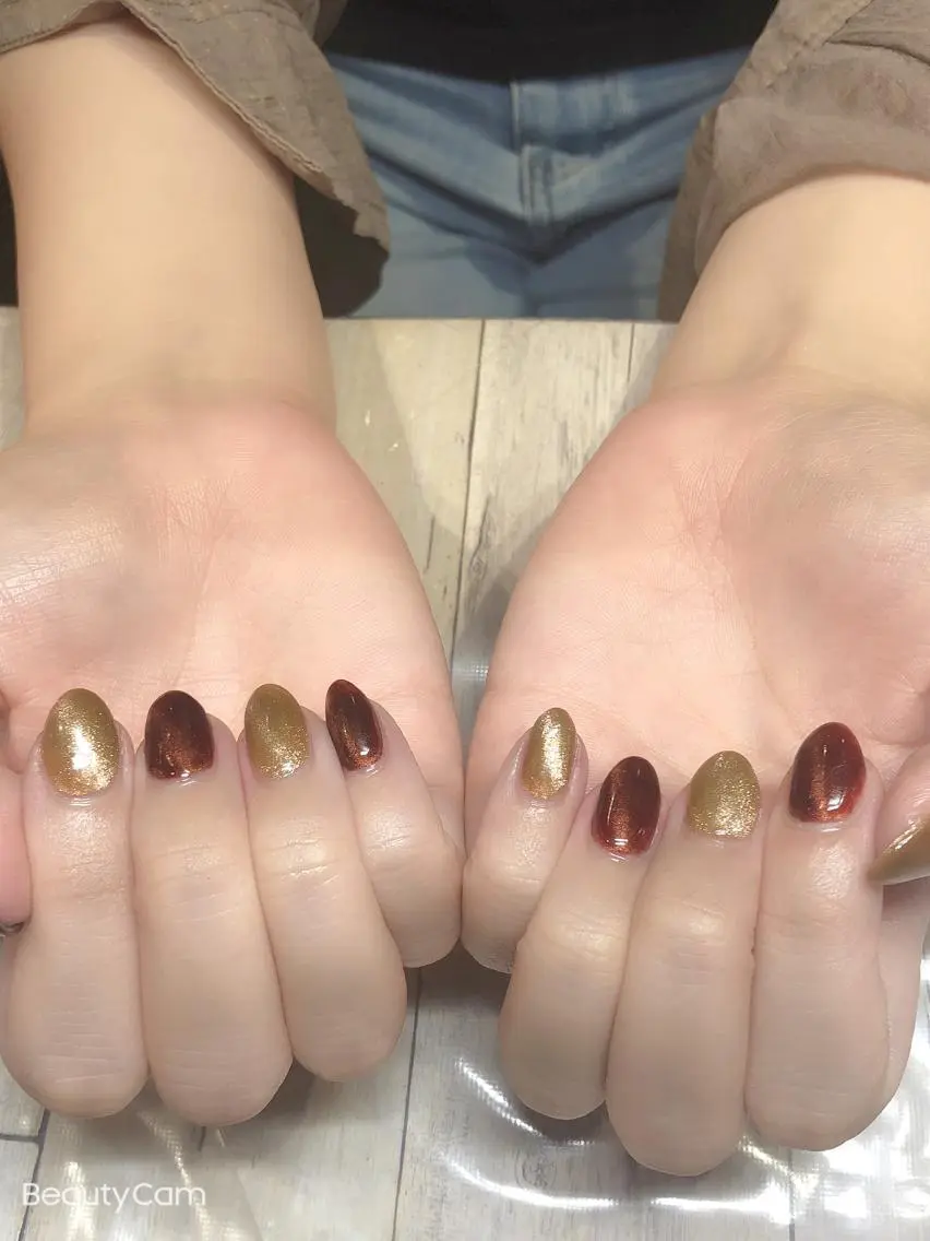 ネイル マグネットネイル ✨アン ミユ✨のネイルデザイン