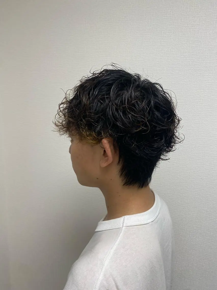ショート カラー パーマ ヘアアレンジ メンズ 艶カラー/ハイトーン /レイヤーカットのヘアスタイル