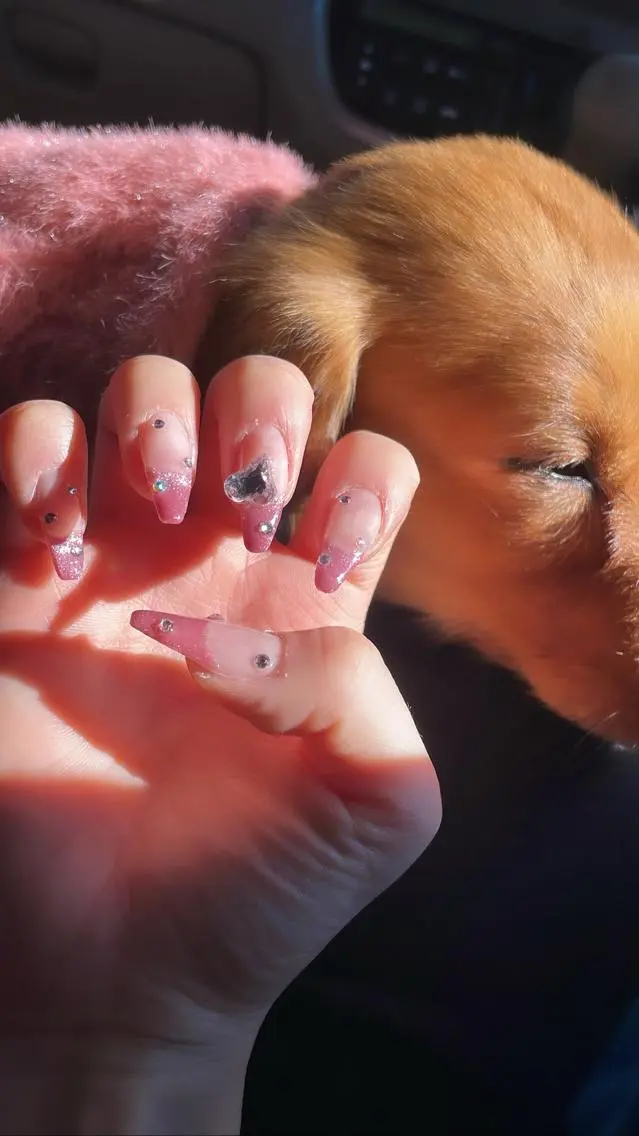 ネイル ブルー フレンチネイル マグネットネイル マグネットフレンチ ワンホンネイル ハンドネイル Nail salon 🎀Angeのネイルデザイン