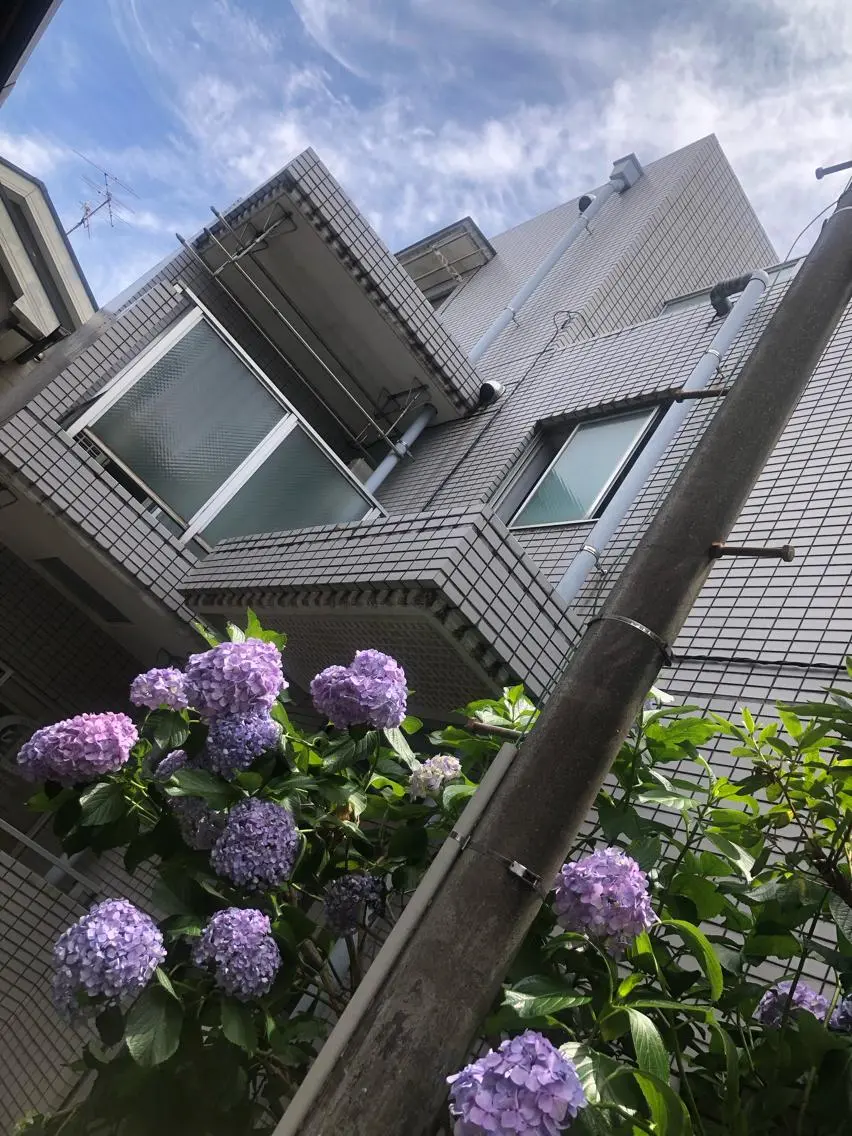 salon *meehoのネイルデザイン