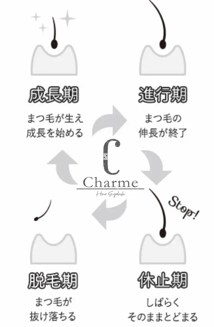 マツエク・マツパ 【Charme 】 シャルムのマツエク・マツパデザイン