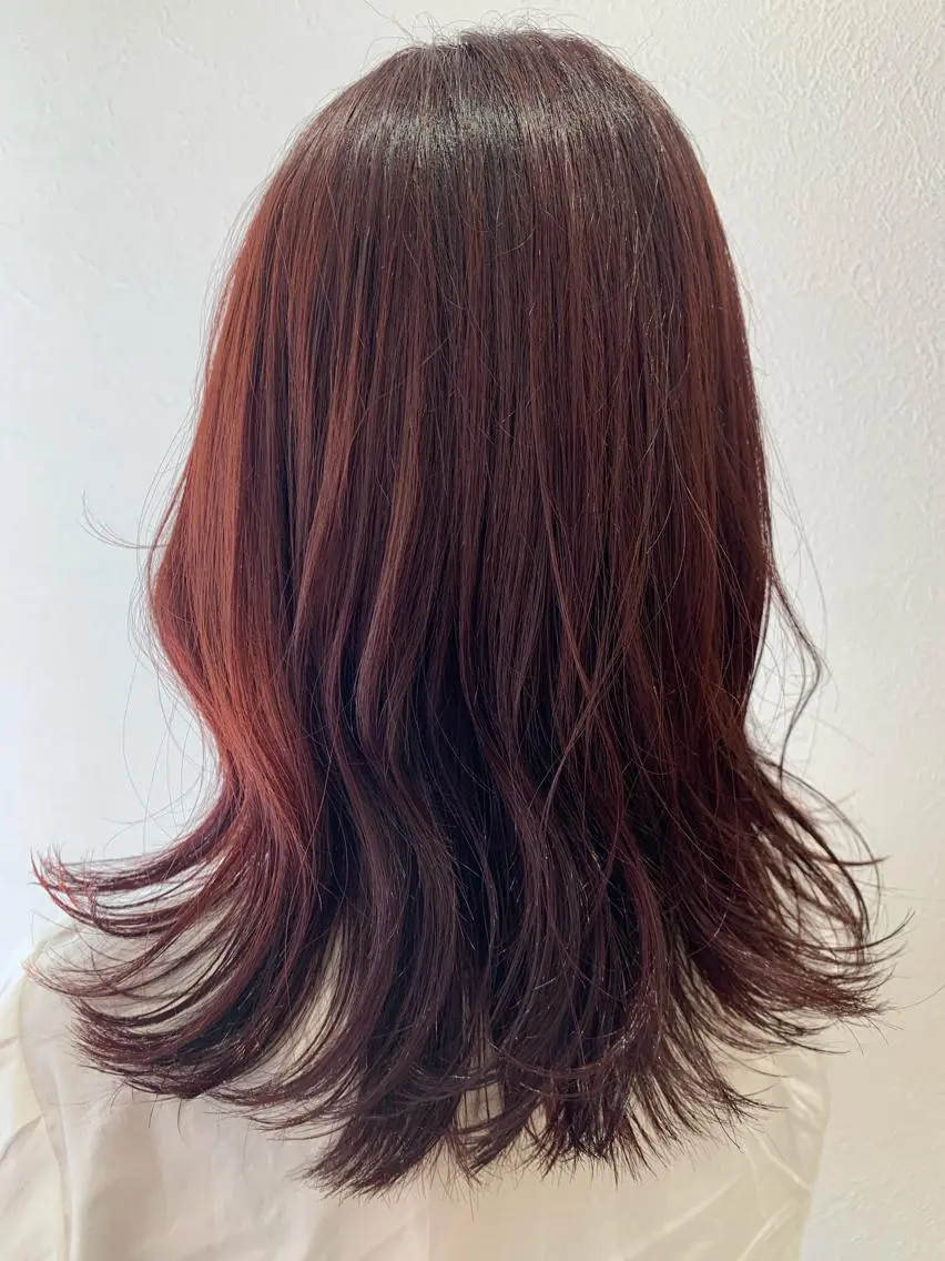 ミディアム カラー ブラウンカラー レッドカラー レッドブラウン hubhair レイヤー/透明感のヘアスタイル