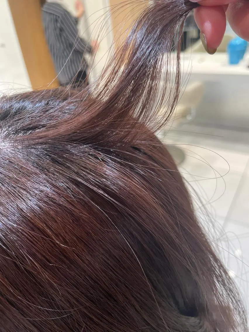 ミディアム カット ヘアカラー トリートメント 🪴酒井 可南子🪴のヘアスタイル