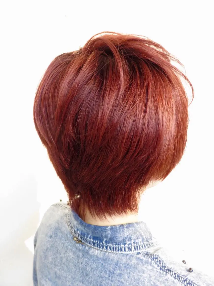 ショート カラー ダブルカラー レッドカラー 東風上 亮介のヘアスタイル