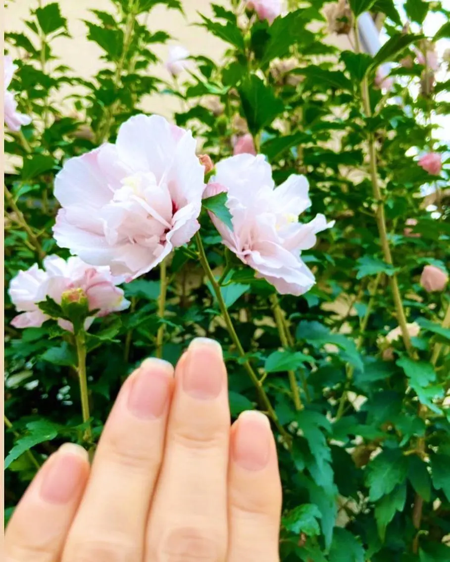 メンズ ネイル ケアリスト🍀 マリユキのネイルデザイン