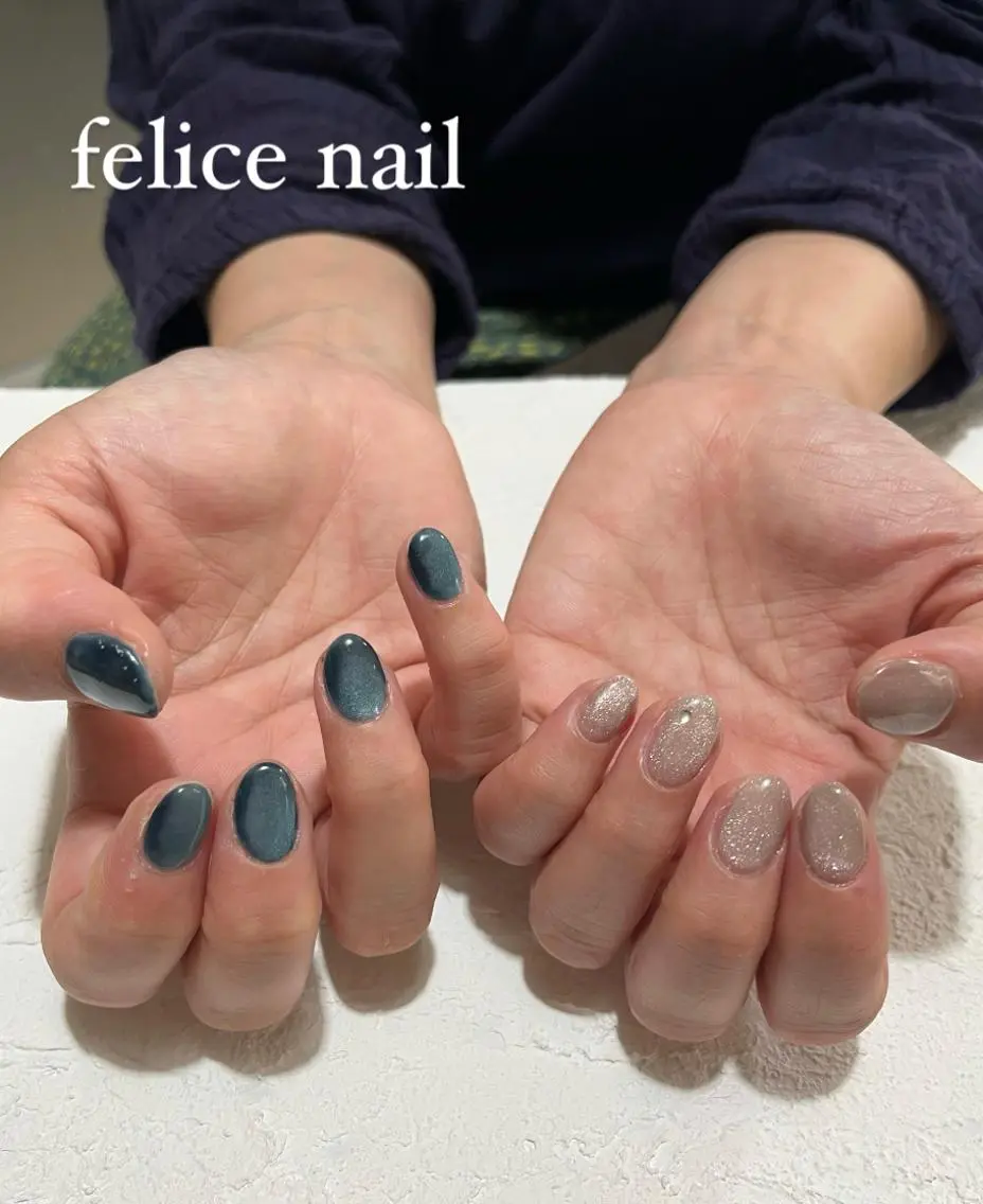 ネイル ジェルネイル マグネットネイル ニュアンスネイル オフィスネイル パラジェル felice nailのネイルデザイン
