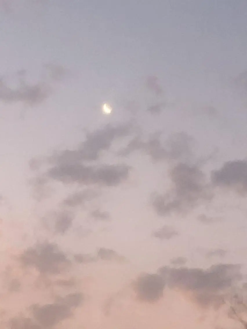 moon 梶本のマツエク・マツパデザイン