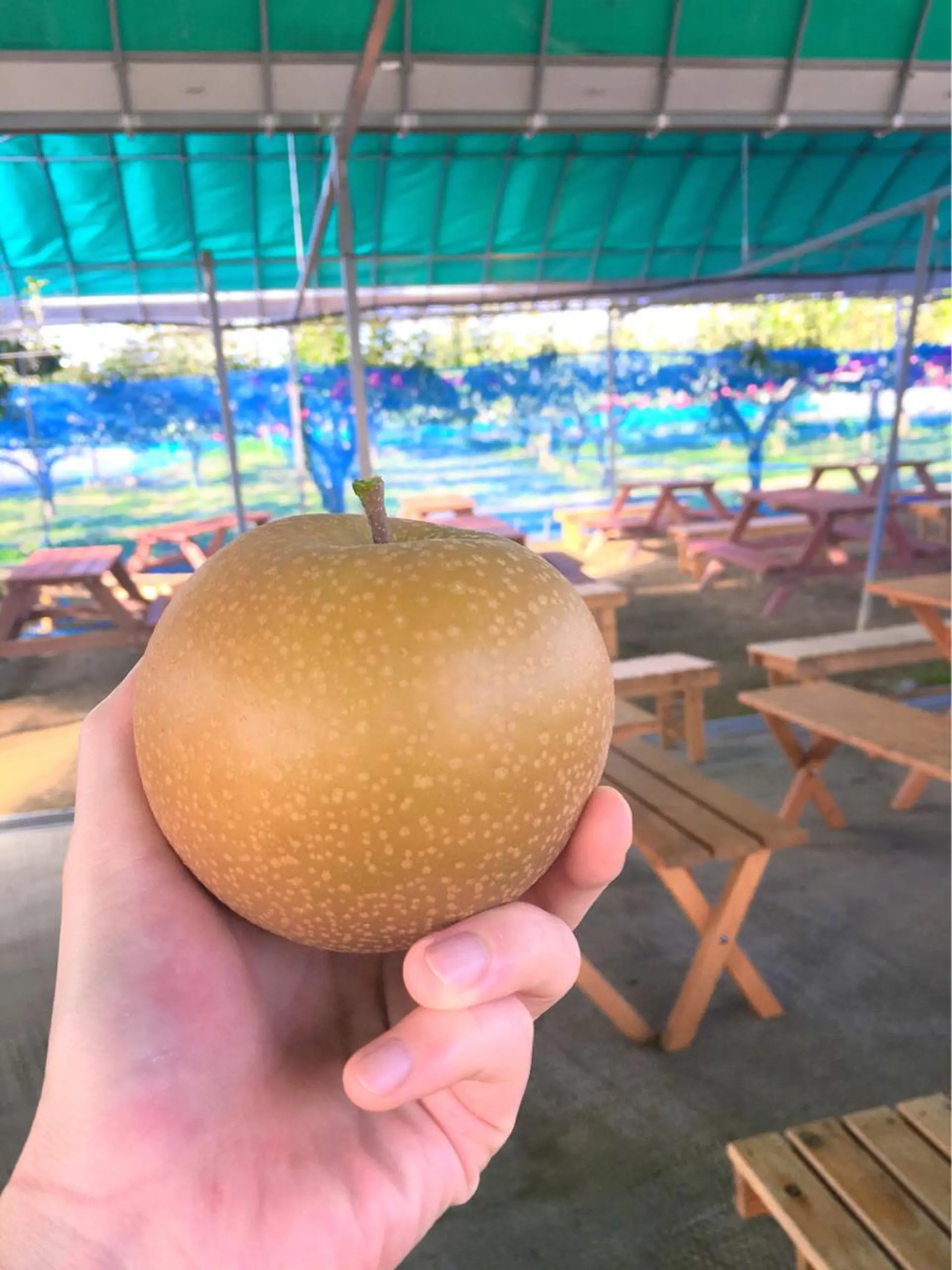 柔らか垢抜けｶﾗｰと ｶｯﾄ🫧ASUKAのヘアスタイル