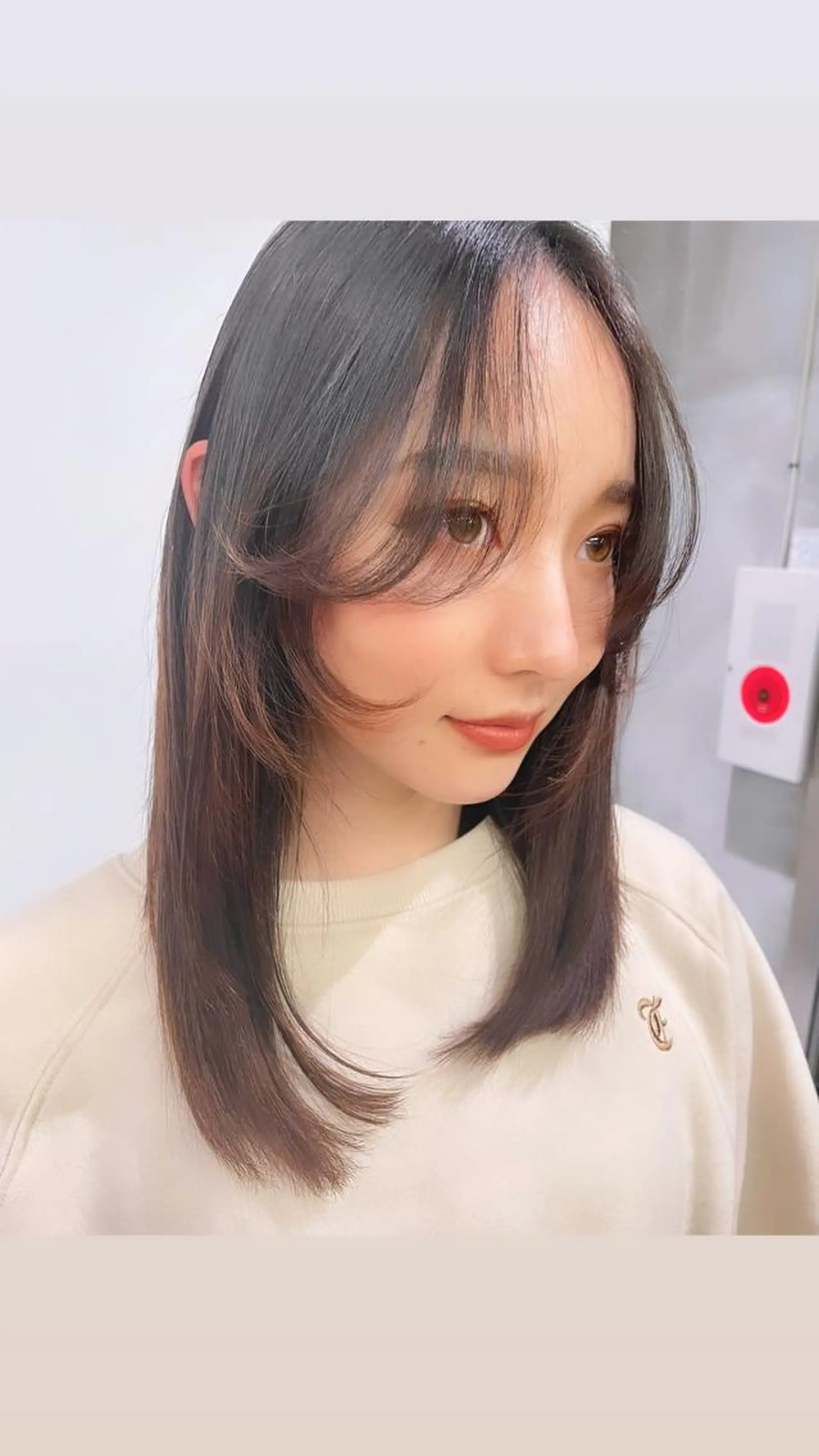 セミロング カット 銀座/レイヤーカット 🤍内野すみれのヘアスタイル