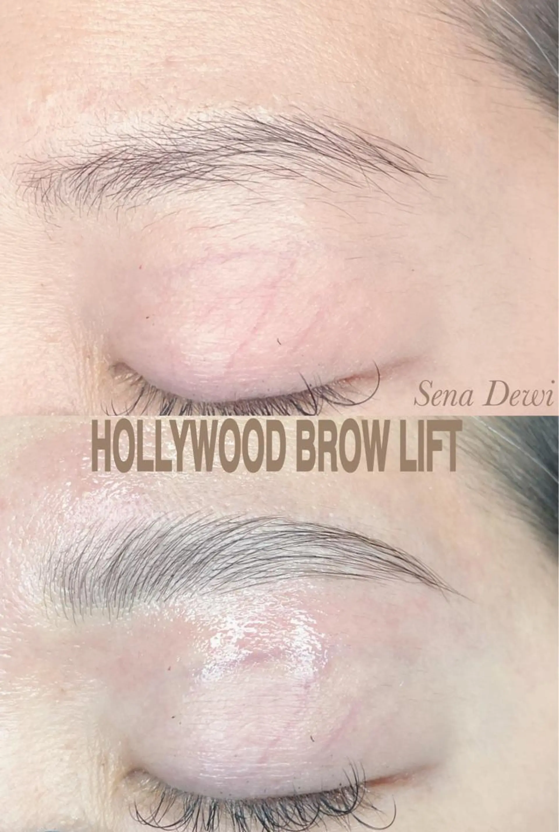 アイブロウ Sena Dewi Yukiの眉毛・アイブロウイメージ