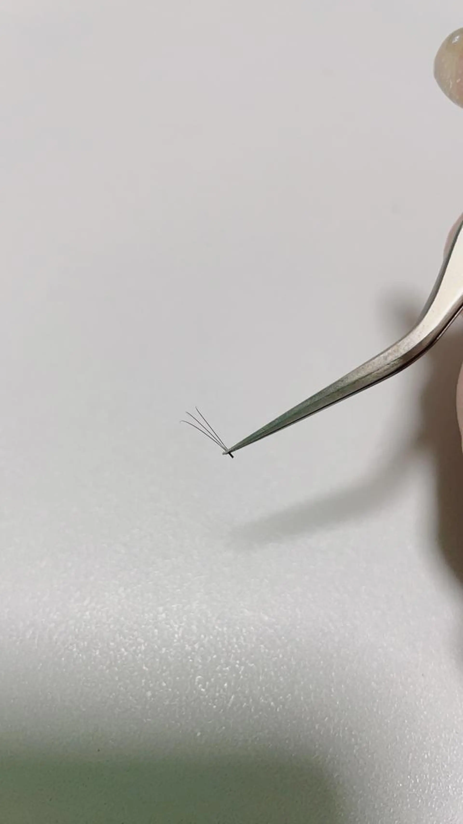 パーマ ネイル マツエク・マツパ ボリュームラッシュ 香里園 eyelashNonのマツエク・マツパデザイン