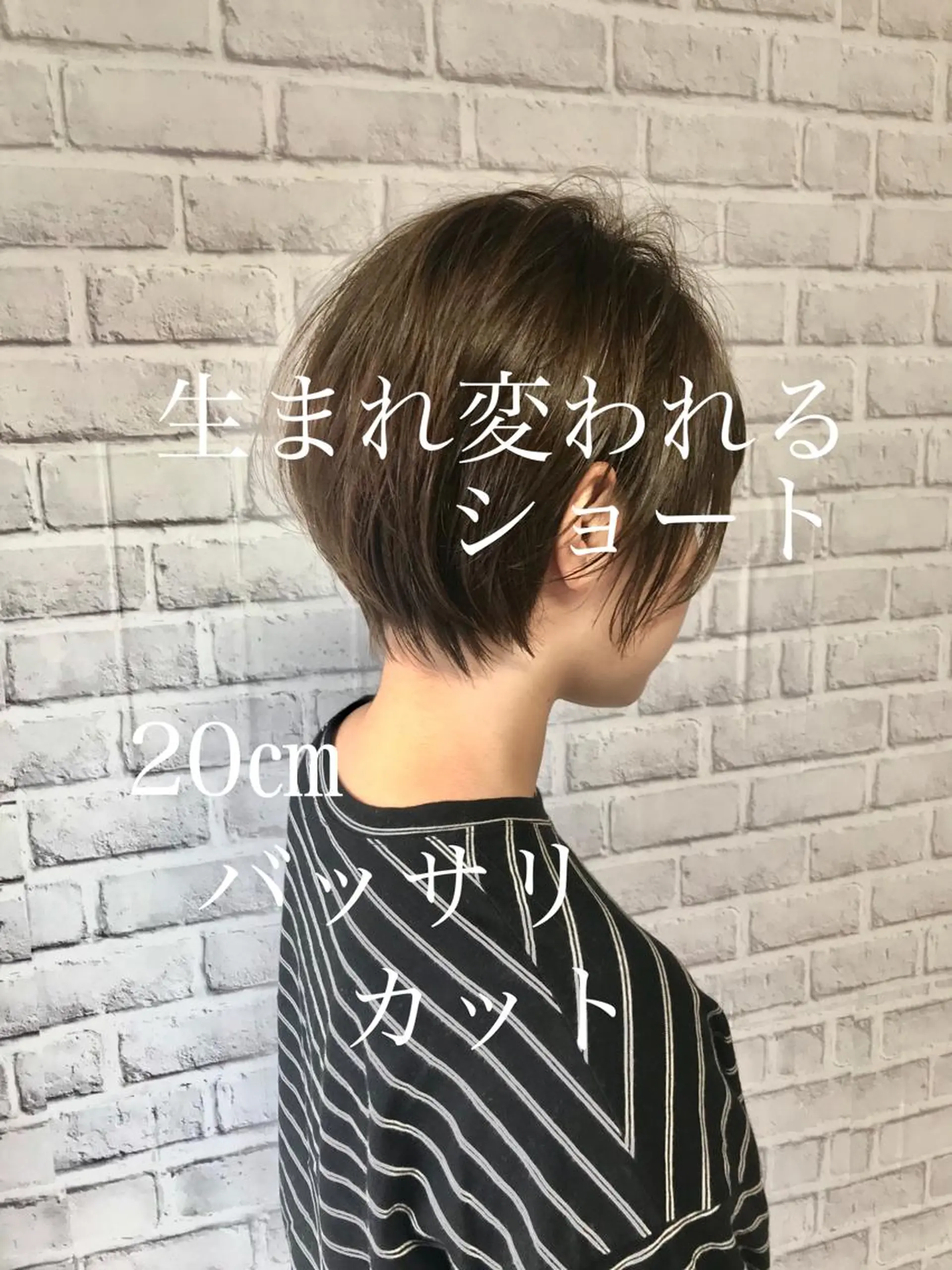 ショート カラー 鳥羽 正治のヘアスタイル