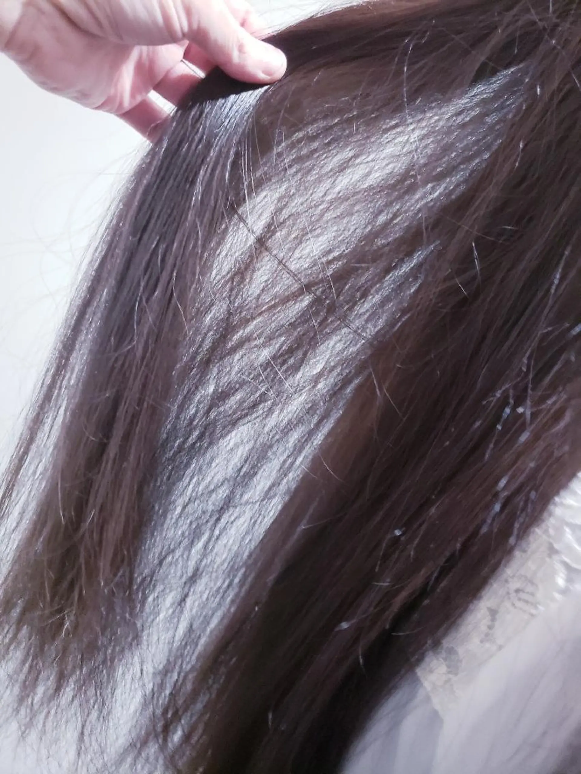 カラー 饒平名 知也のヘアスタイル