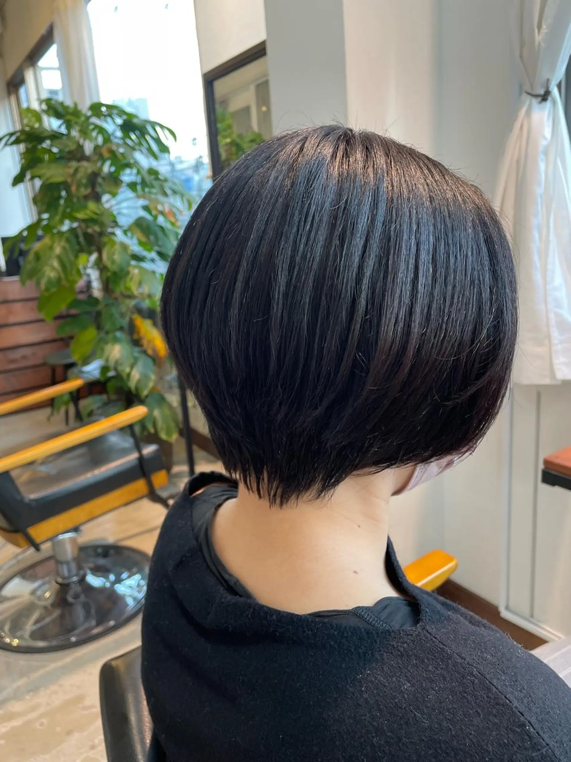 ショート カラー ✨菅近 湧太✨のヘアスタイル