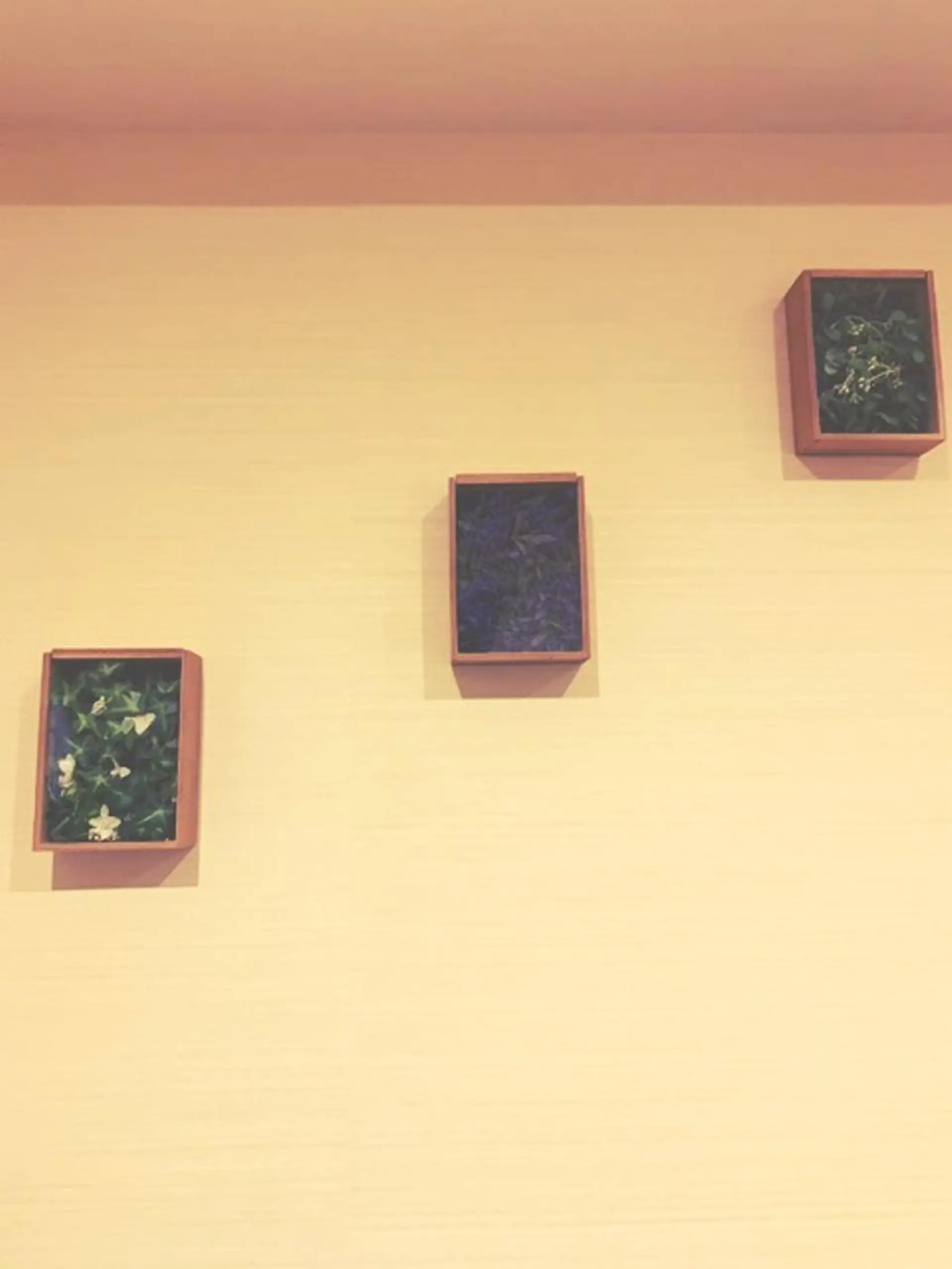 姿勢・体質改善・自律神経ケアサロンCOTO所属・姿勢・体質・自律神経 ケアサロンCOTOのエステ・リラクイメージ