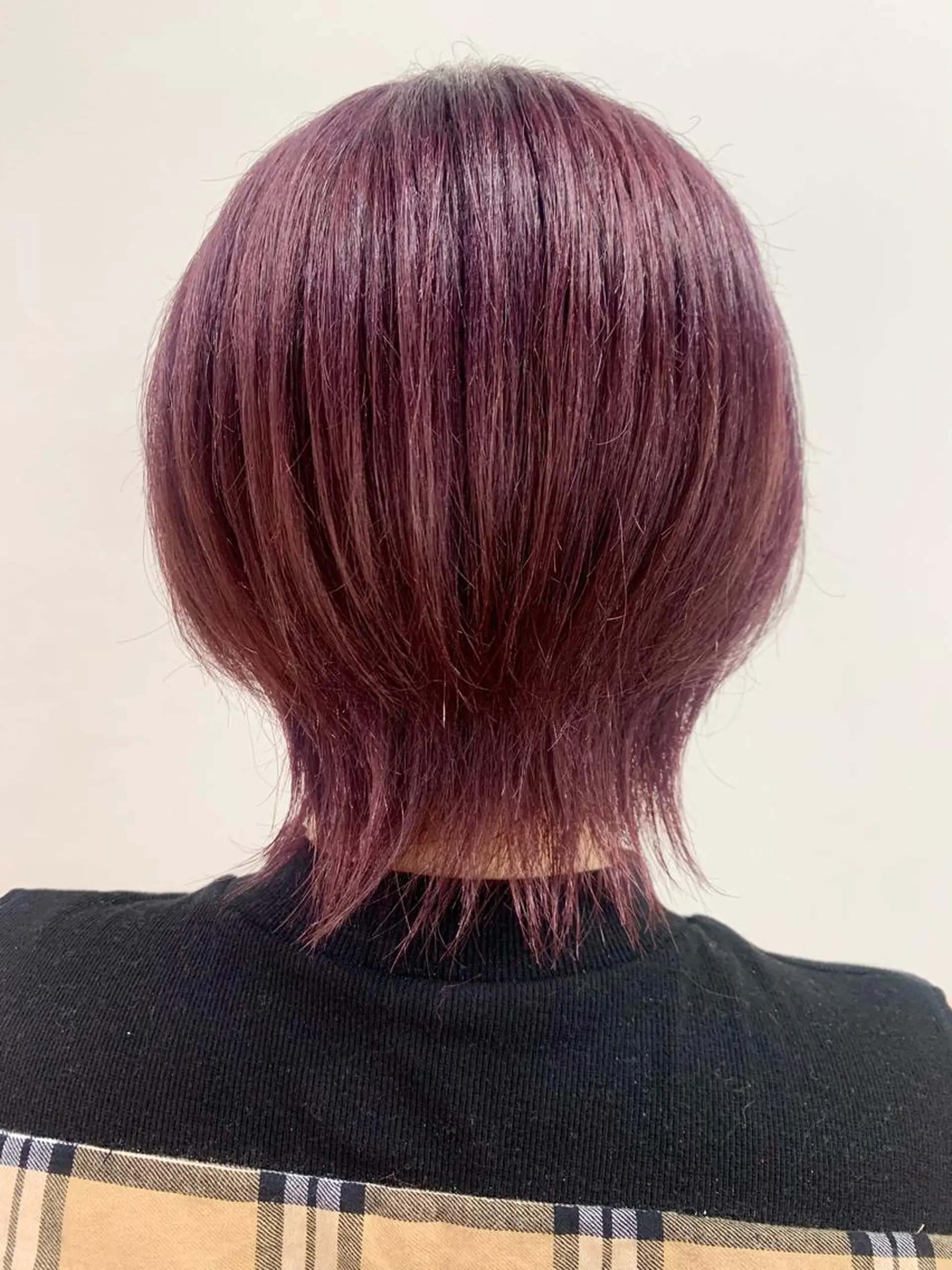 ショート カラー ブリーチ カシス 佐々木 有彩のヘアスタイル