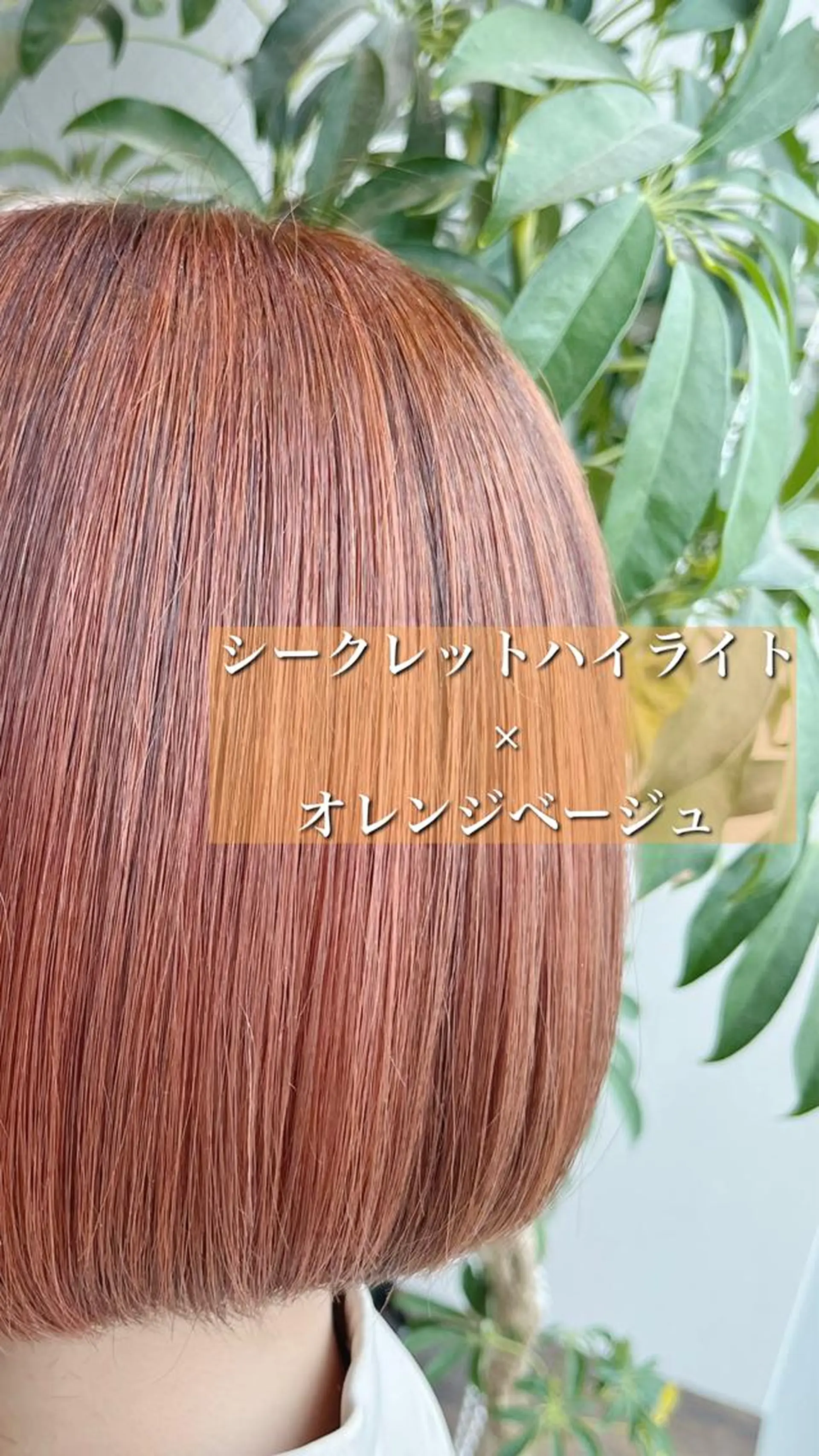 ショート カラー カット ヘアカラー トリートメント 酸熱トリートメント/ 髪質改善🌟玉井香奈のヘアスタイル