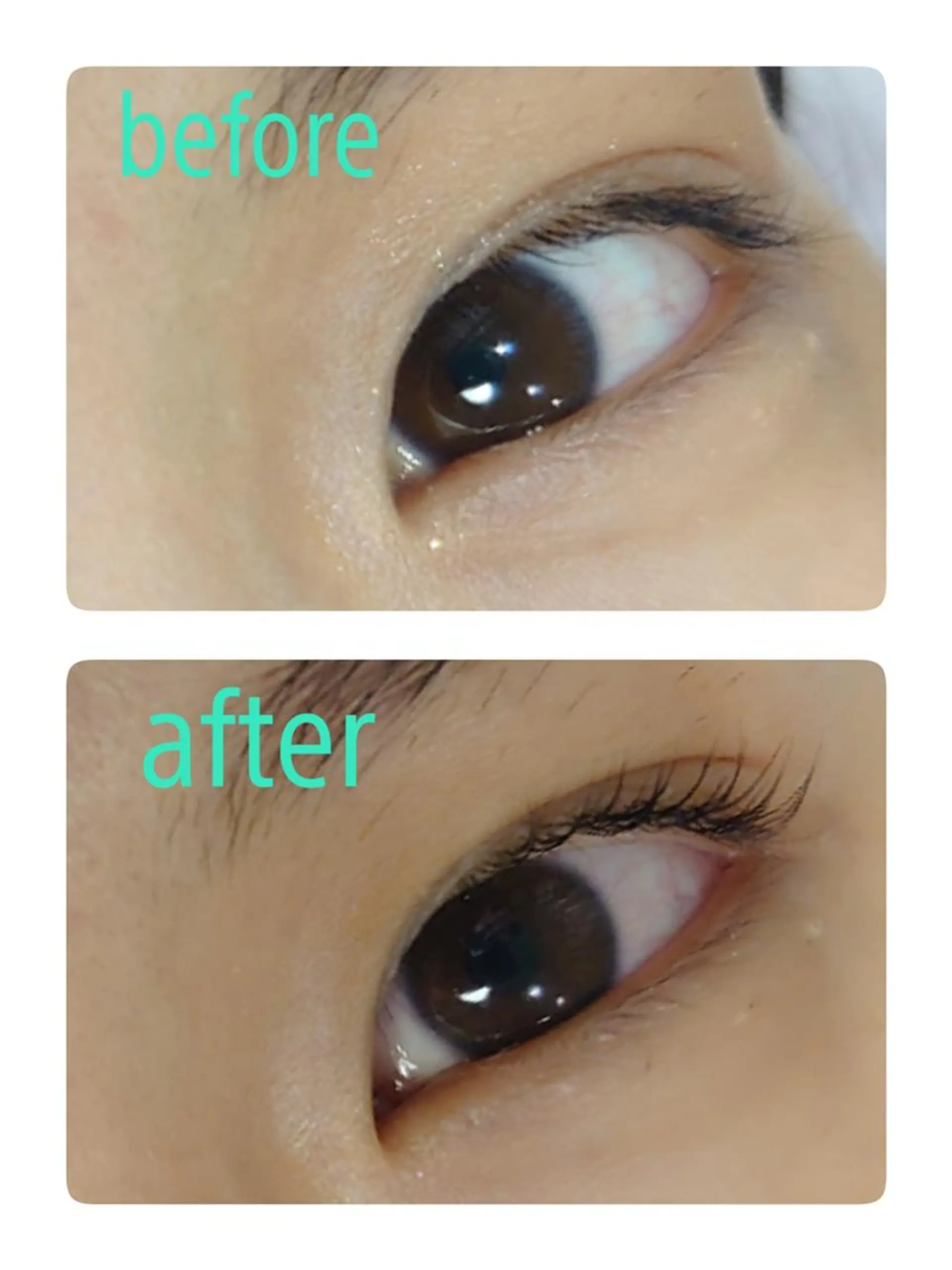 マツエク・マツパ オアーゼ mamiのマツエク・マツパデザイン