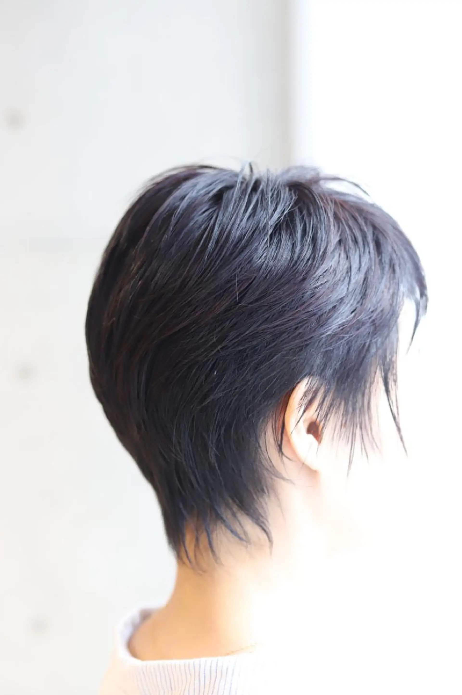 ショート カラー バイオレットカラー アドミラルYoshi oのヘアスタイル
