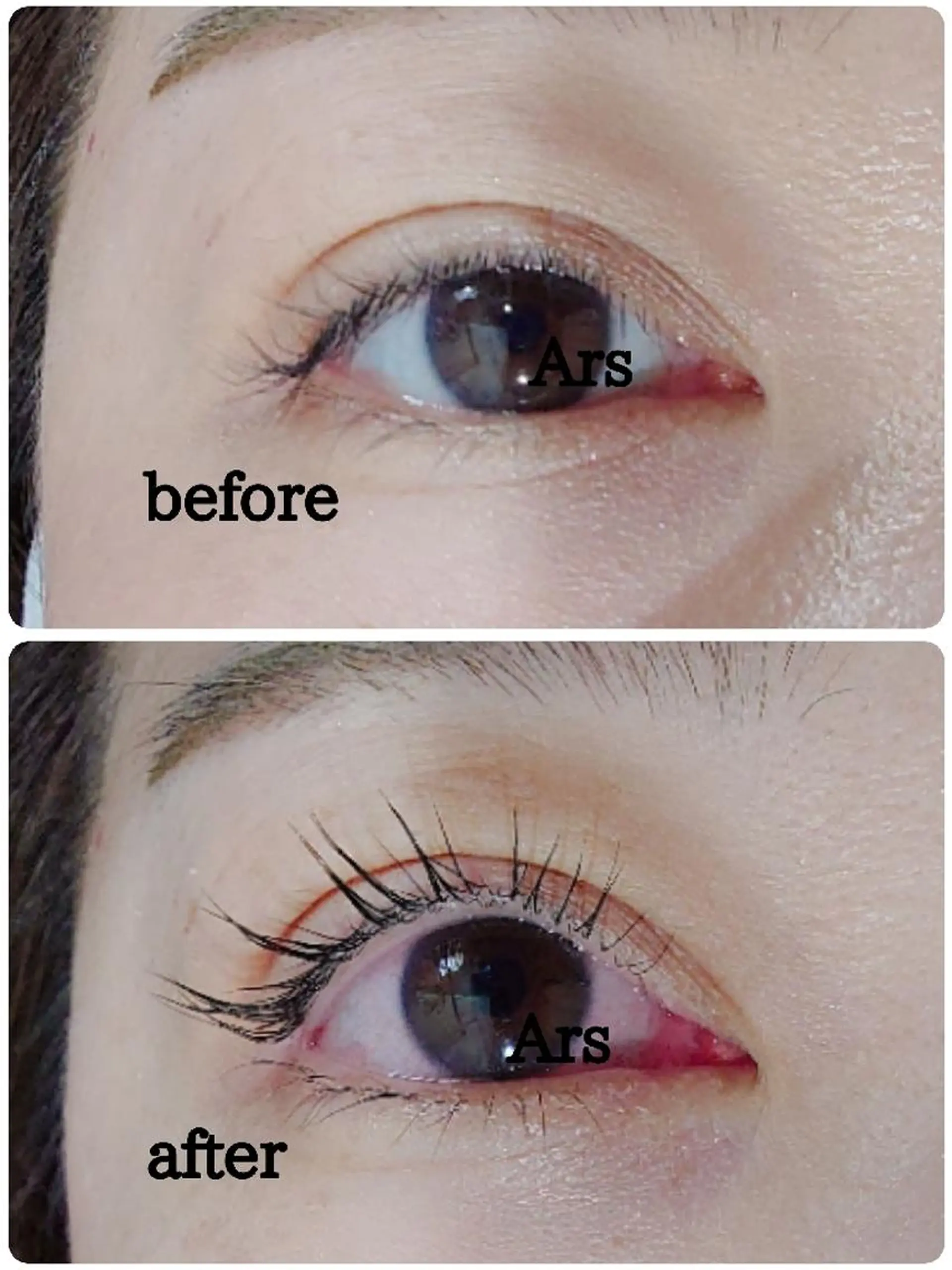 マツエク・マツパ アイリッドアップパーマ Ars      (ｱﾙｽ)のマツエク・マツパデザイン