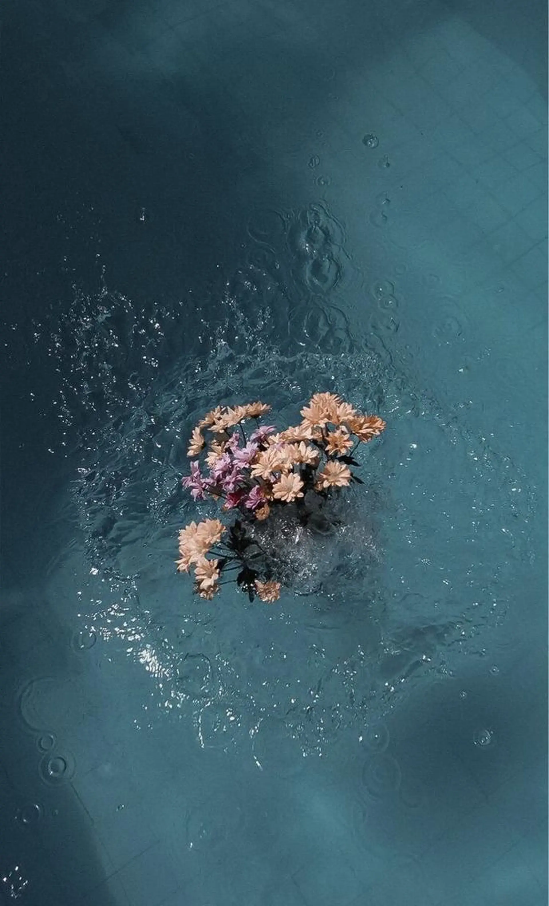 ミディアム カラー ヘアアレンジ 髪質改善/縮毛矯正/ 透明感🩵NANAのヘアスタイル