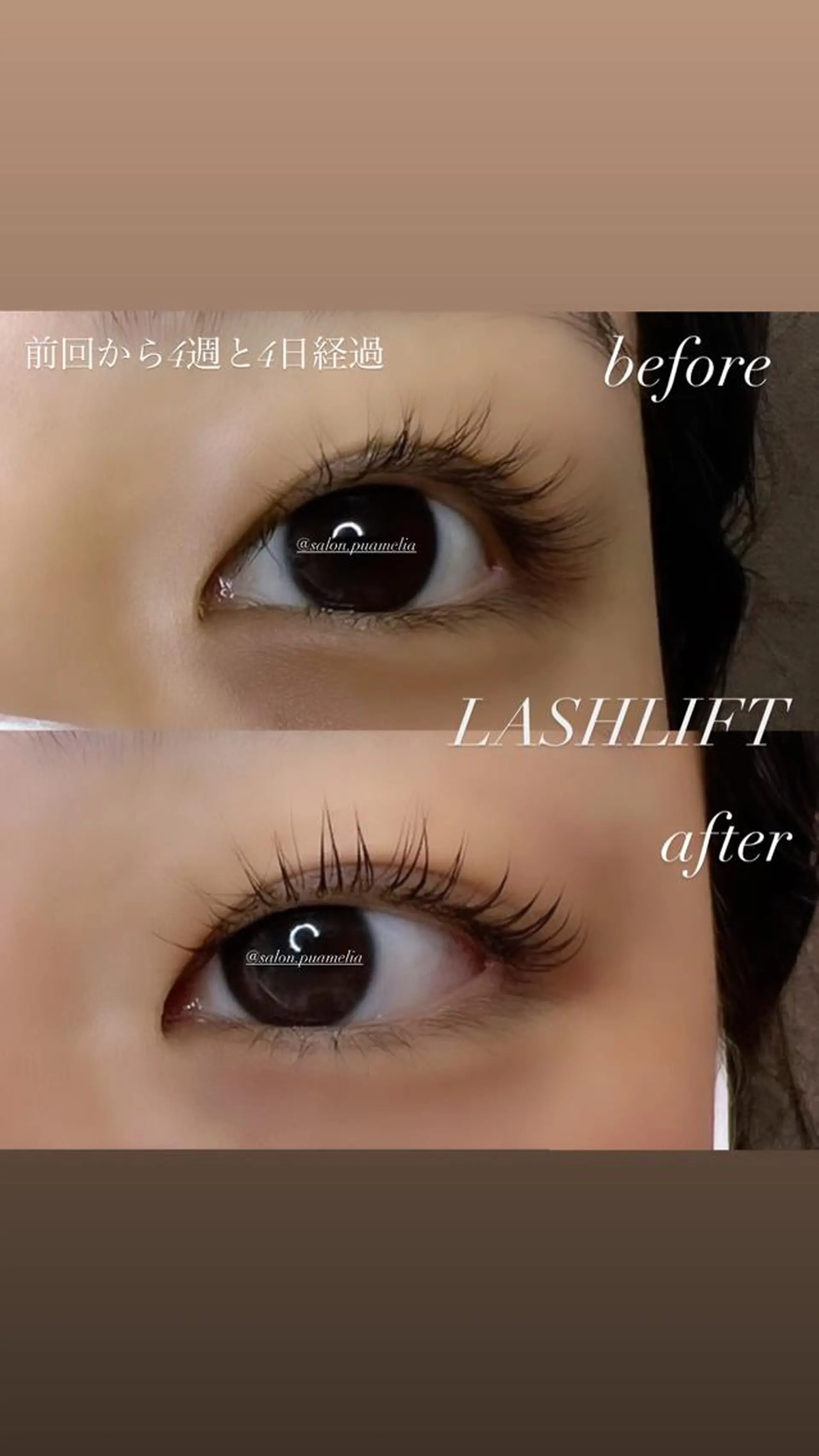 マツエク・マツパ マツパ Pua Meliaのマツエク・マツパデザイン