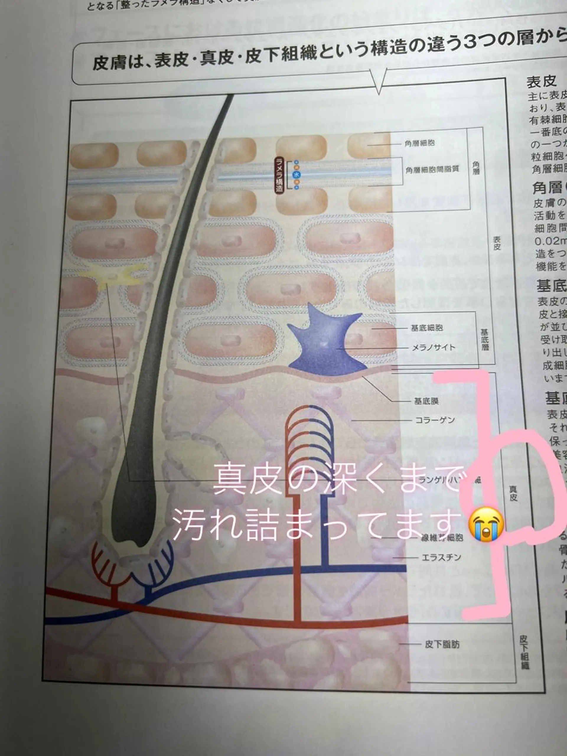 枝廣 貴子のエステ・リラクイメージ