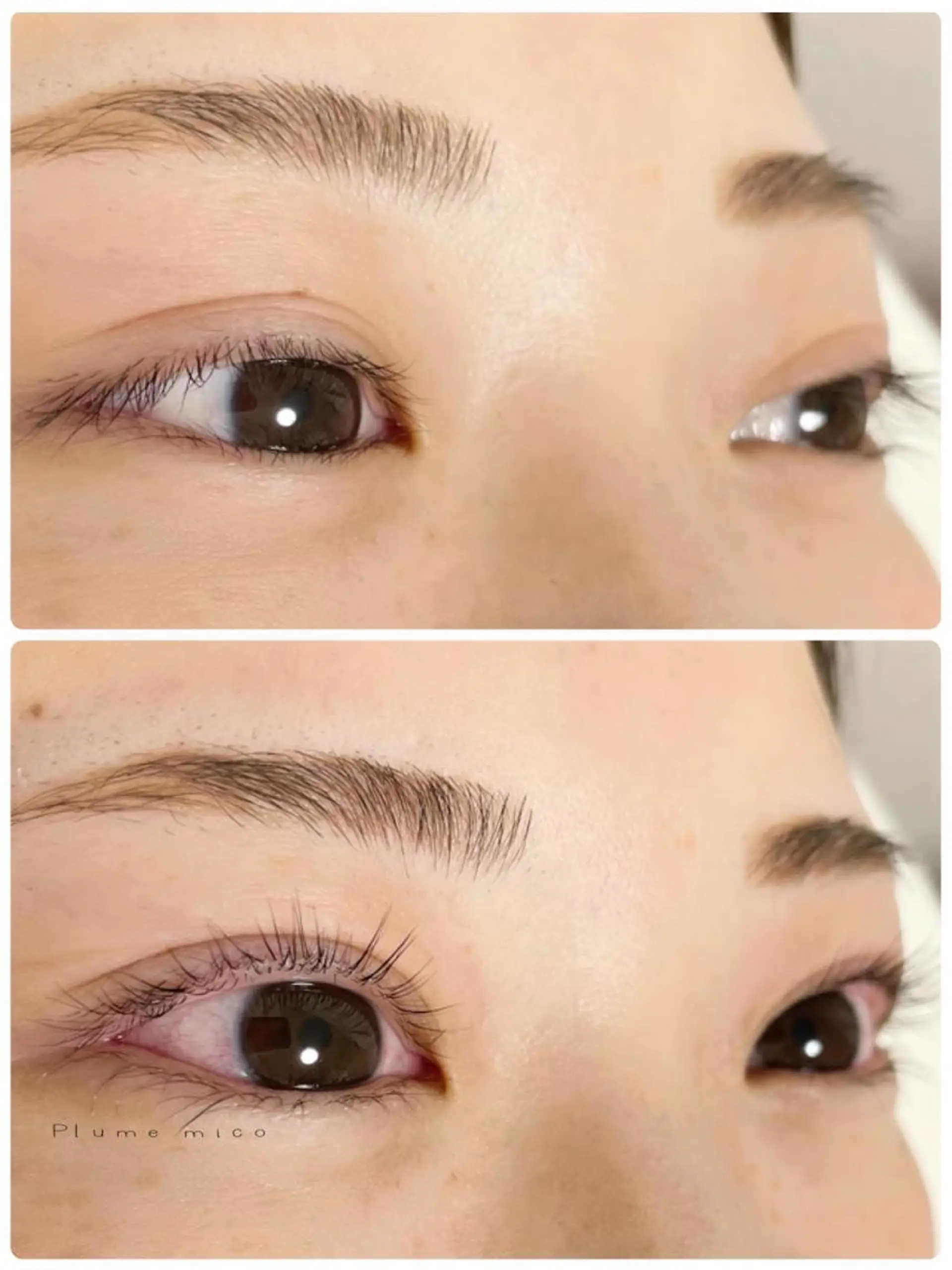 マツエク・マツパ パリジェンヌラッシュリフト マツパ Plume micoのマツエク・マツパデザイン