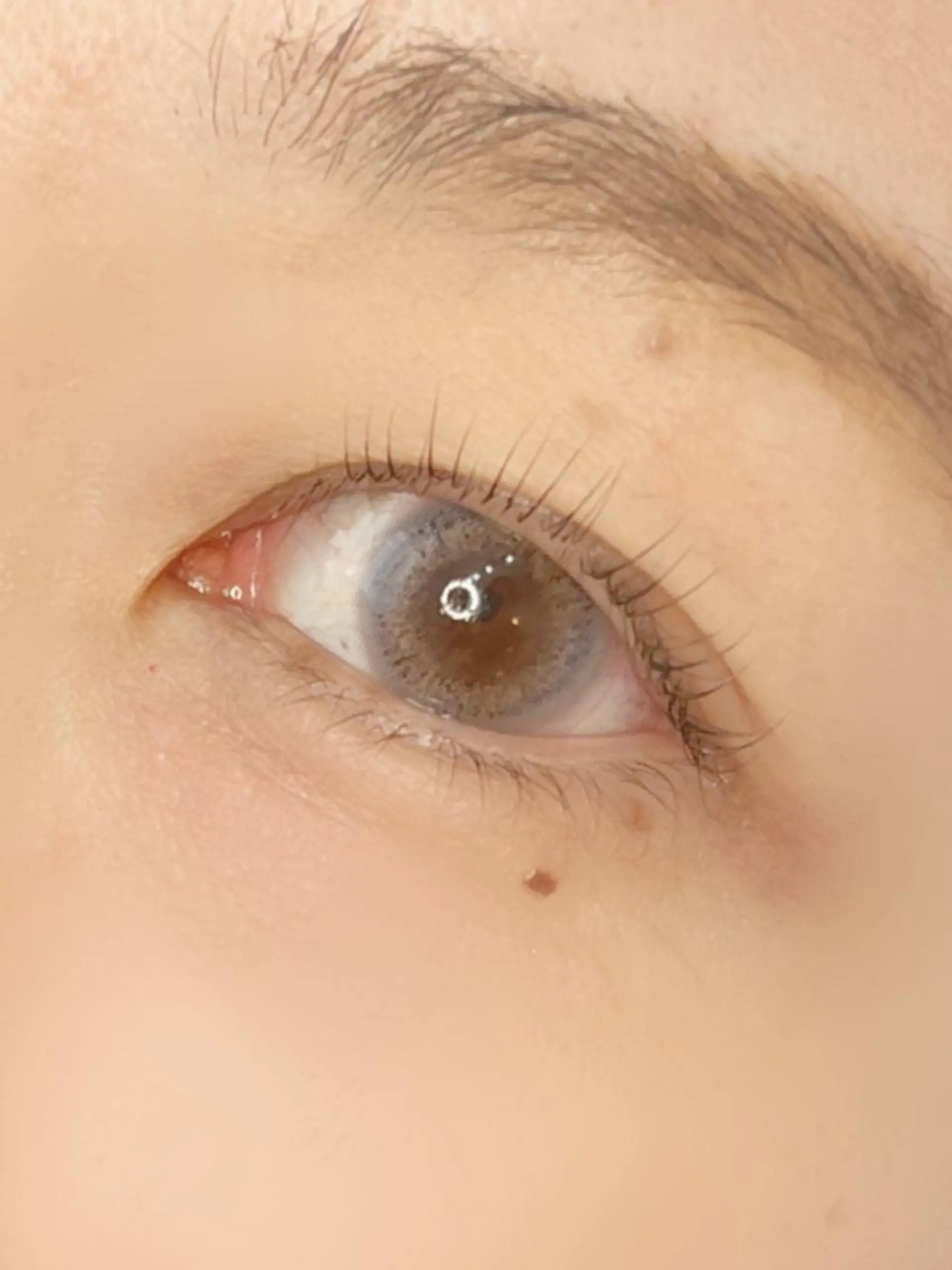 マツエク・マツパ 《eyelash ｉｉｔｅ》森のマツエク・マツパデザイン