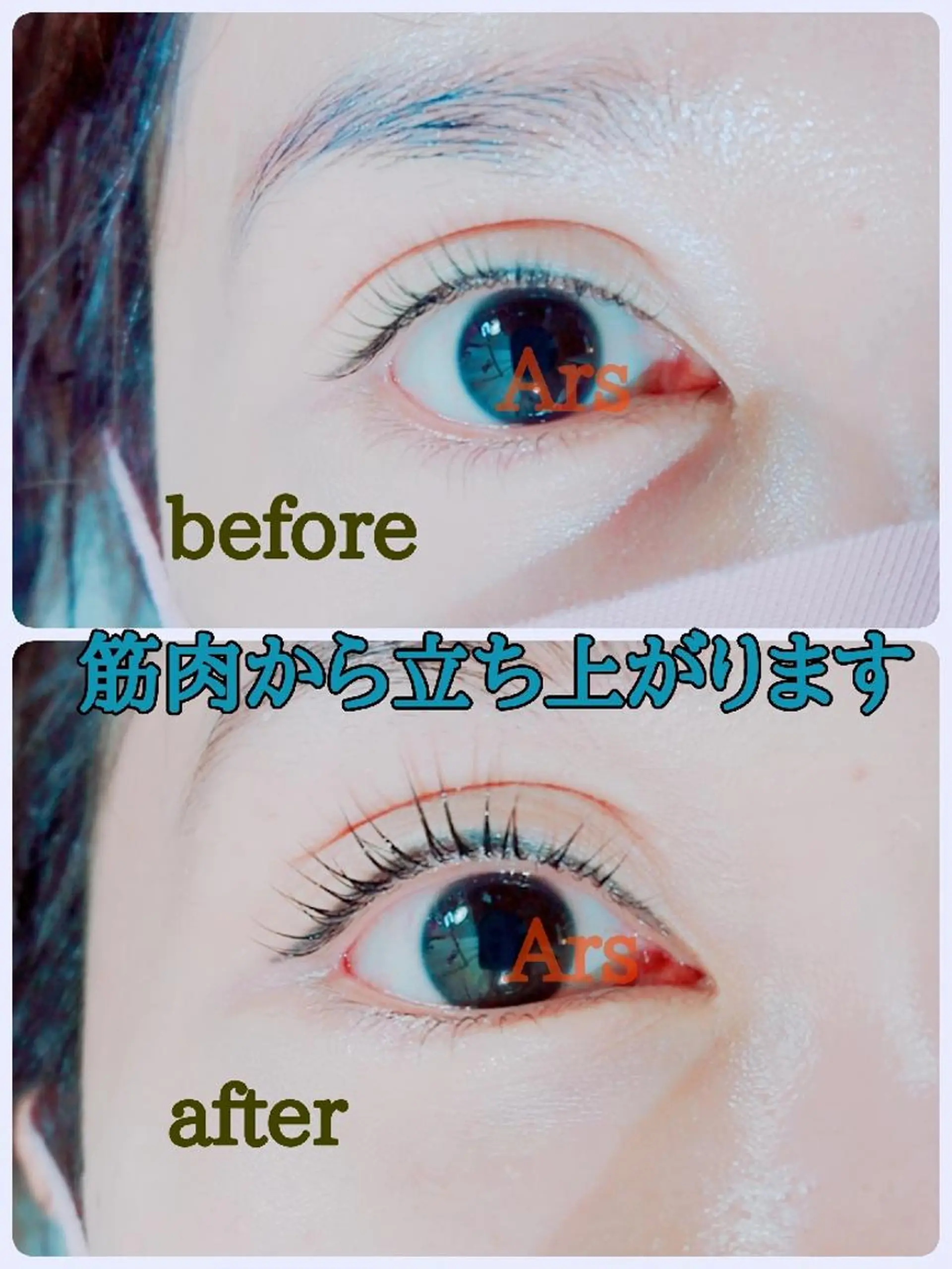 マツエク・マツパ アイリッドアップパーマ Ars      (ｱﾙｽ)のマツエク・マツパデザイン