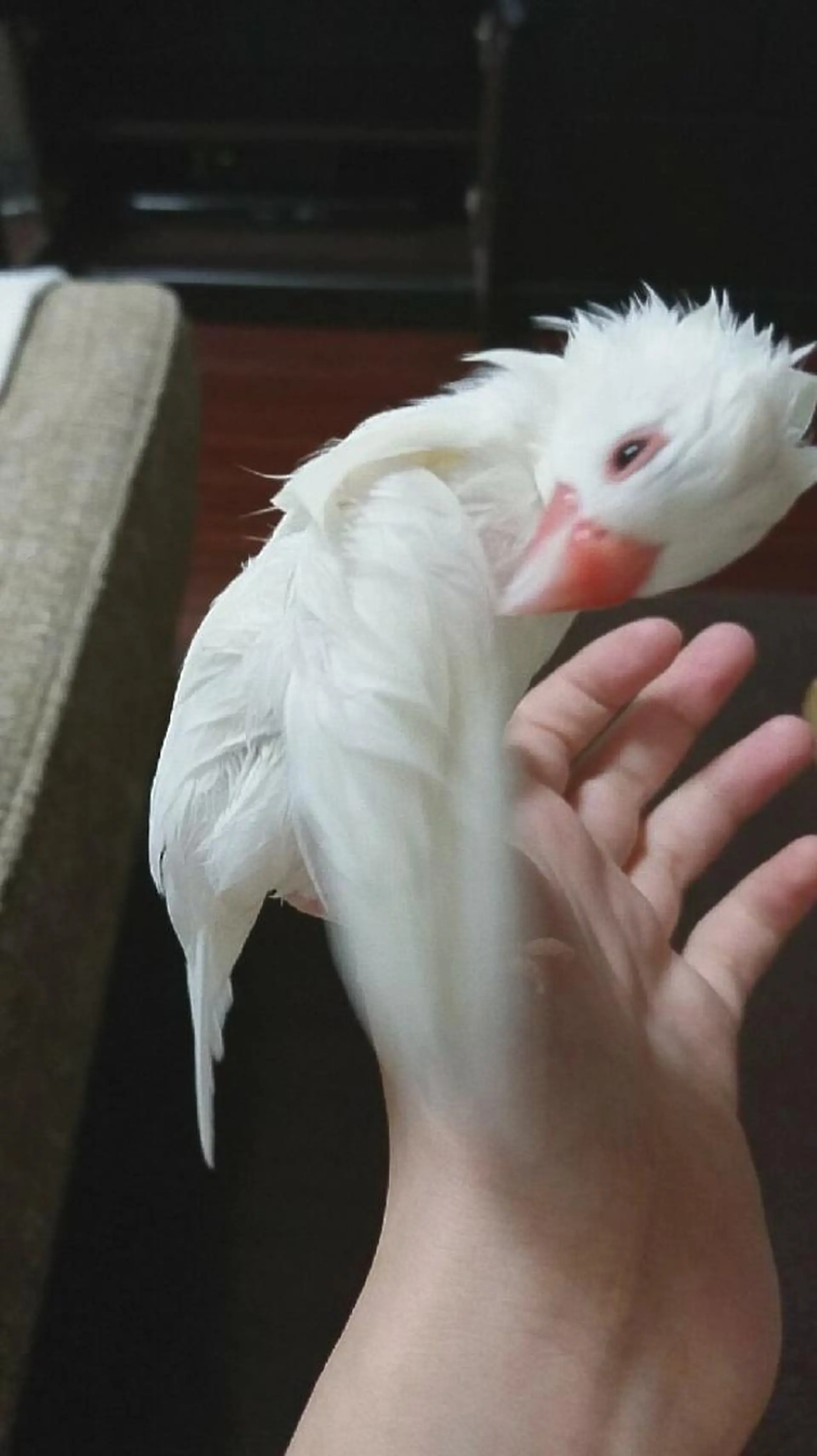 g*rossa高橋 くみこのエステ・リラクイメージ