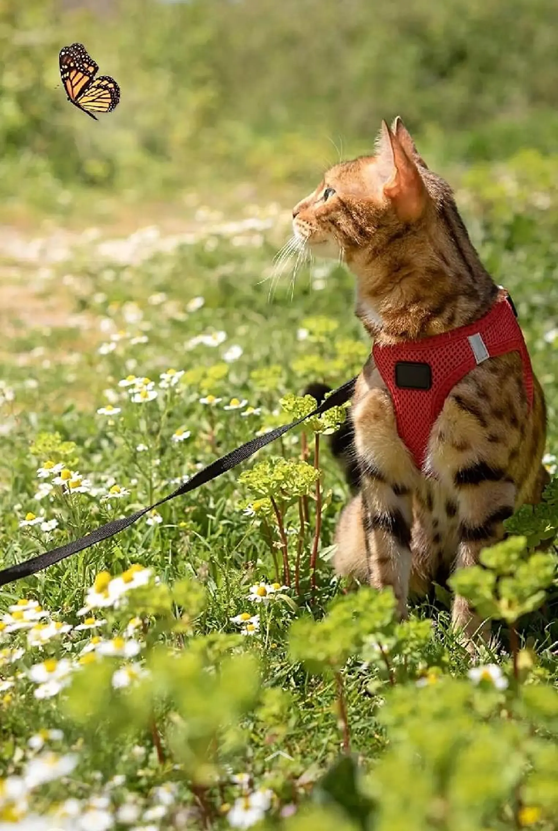 脱毛 aliaハーブ水光店 エステティシャン募集のエステ・リラクイメージ