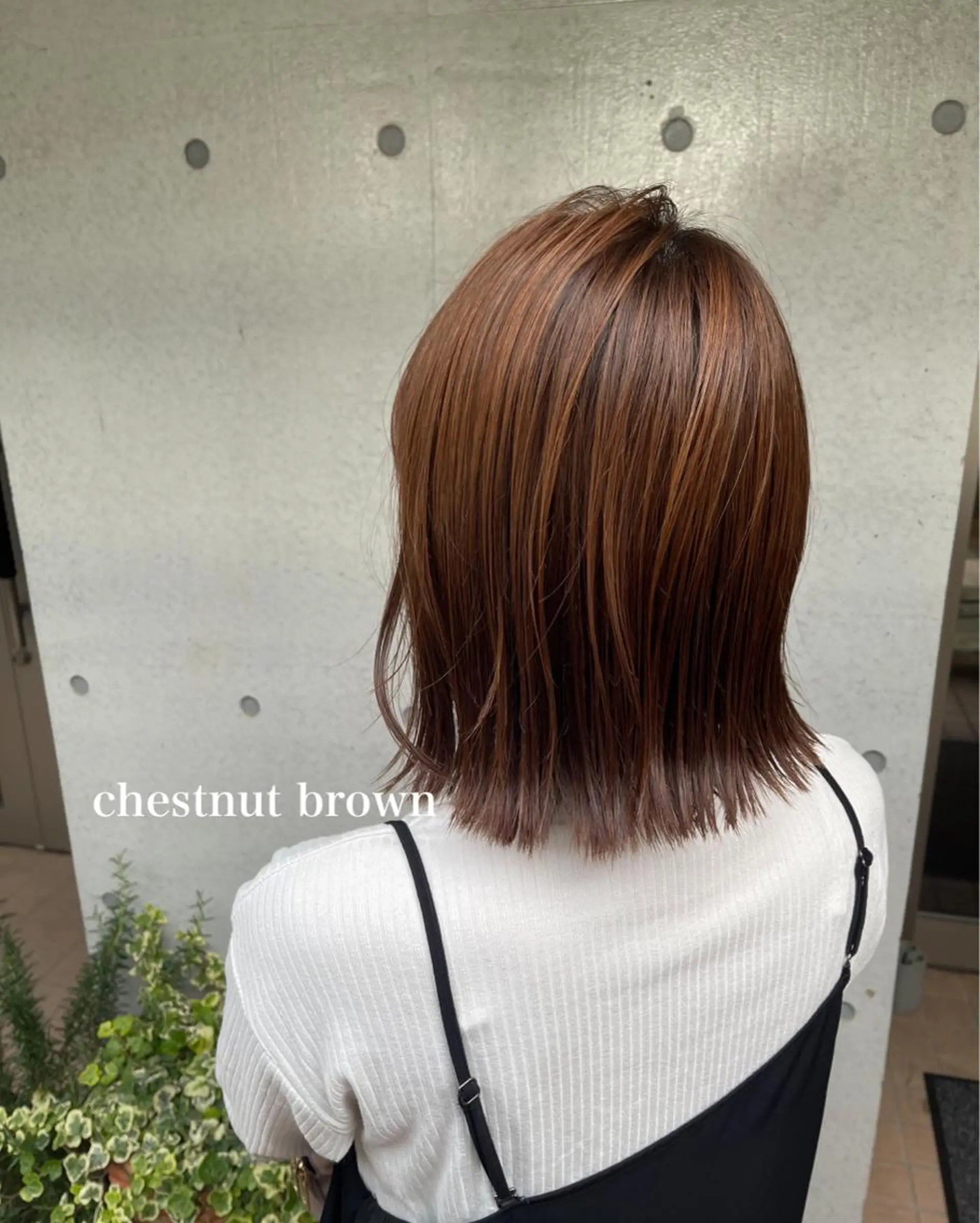 ミディアム カラー ViaLa Hair 🌈すずきたくむ✂︎のヘアスタイル