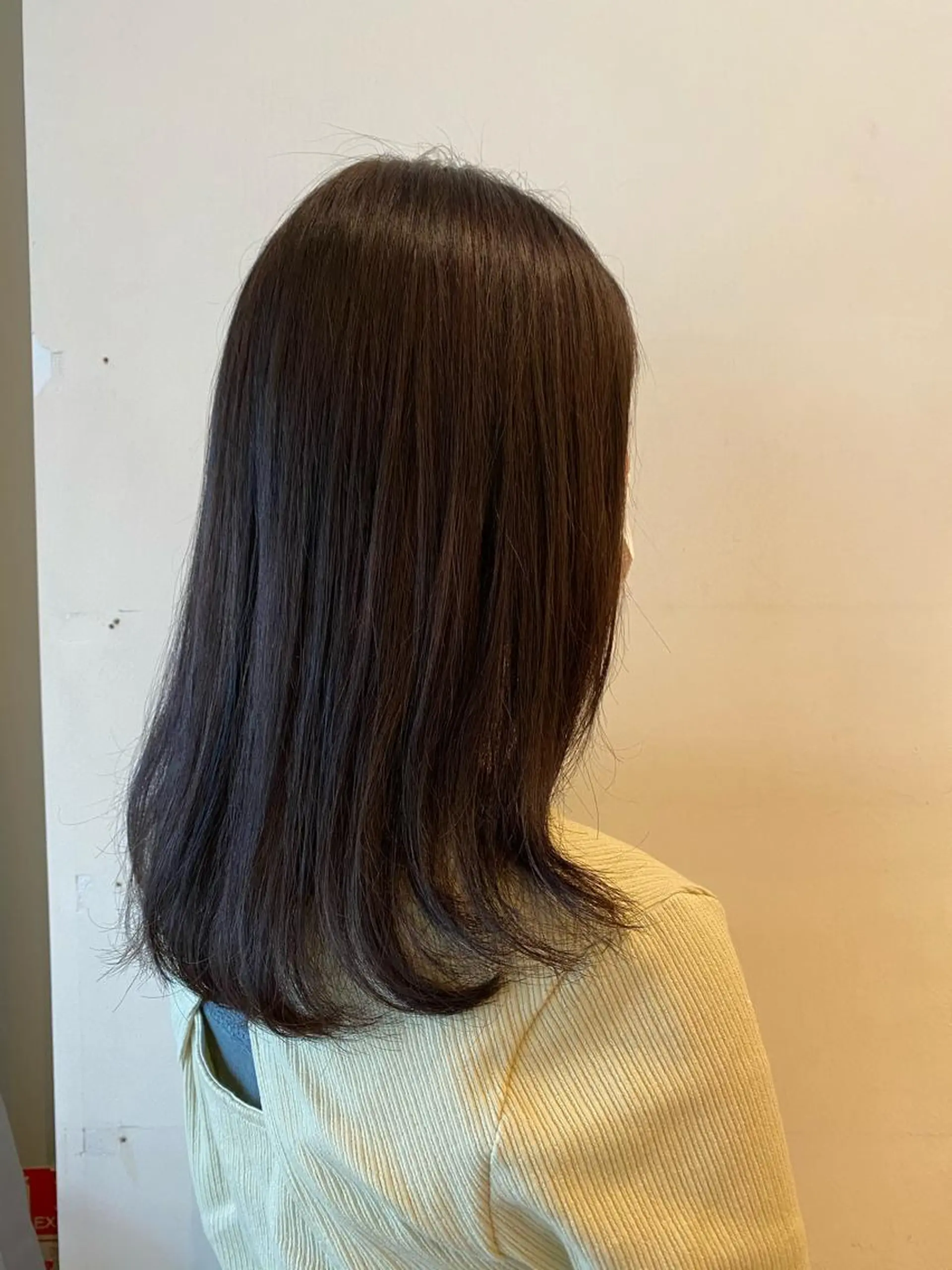 セミロング カラー 長谷川 華奈子のヘアスタイル