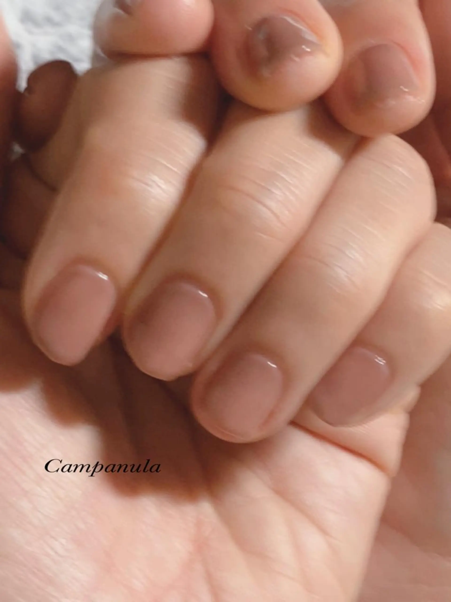 ネイル オフィスネイル ネイルケアサロン Campanulaのネイルデザイン