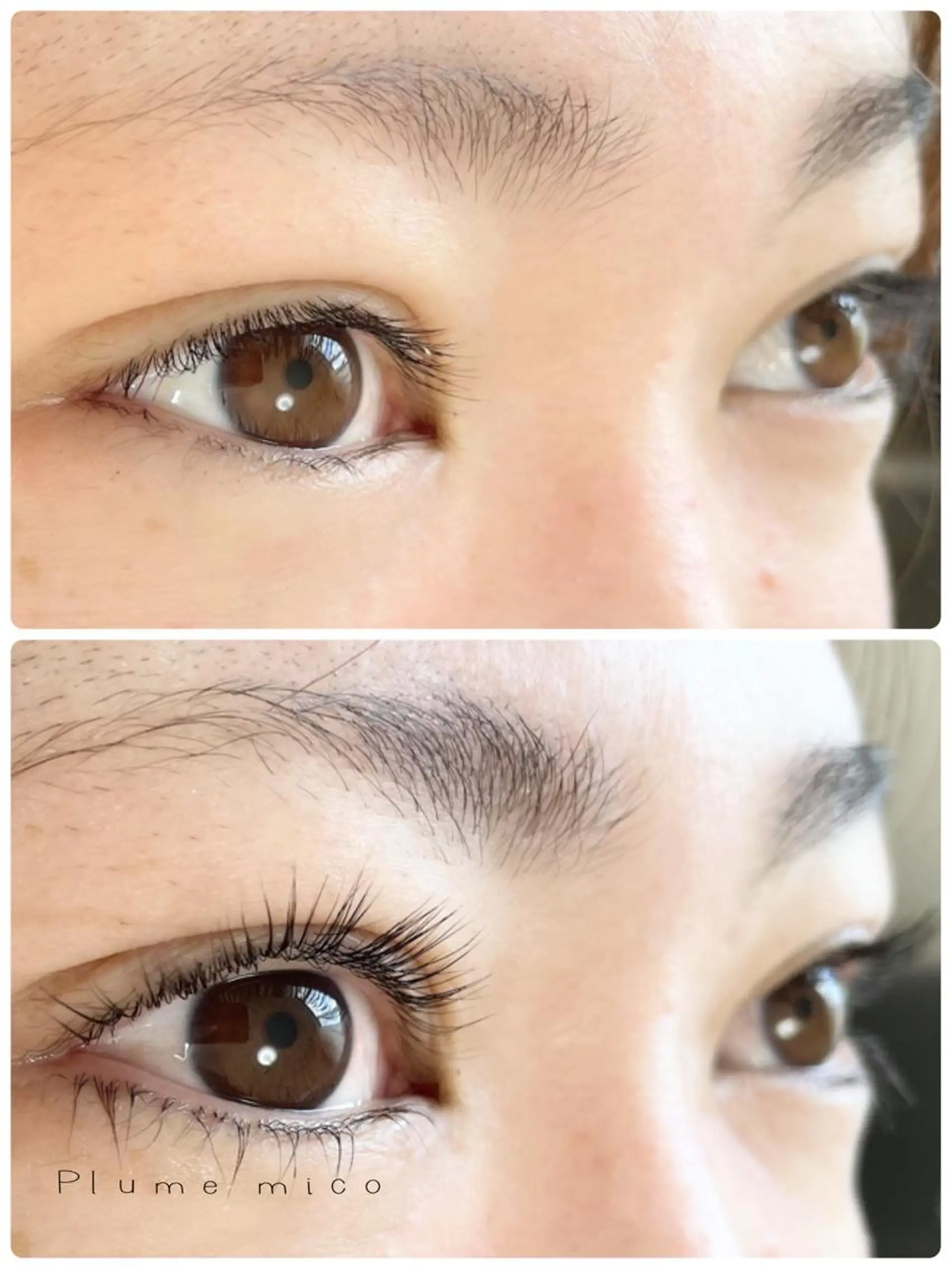 マツエク・マツパ マツパ Plume micoのマツエク・マツパデザイン