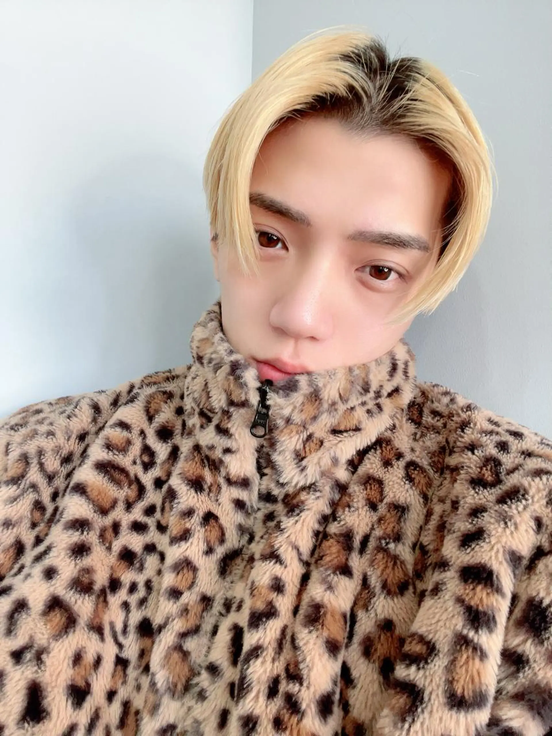 ショート 二ヶ月綺麗が続くレ イヤー/星野六三四のヘアスタイル