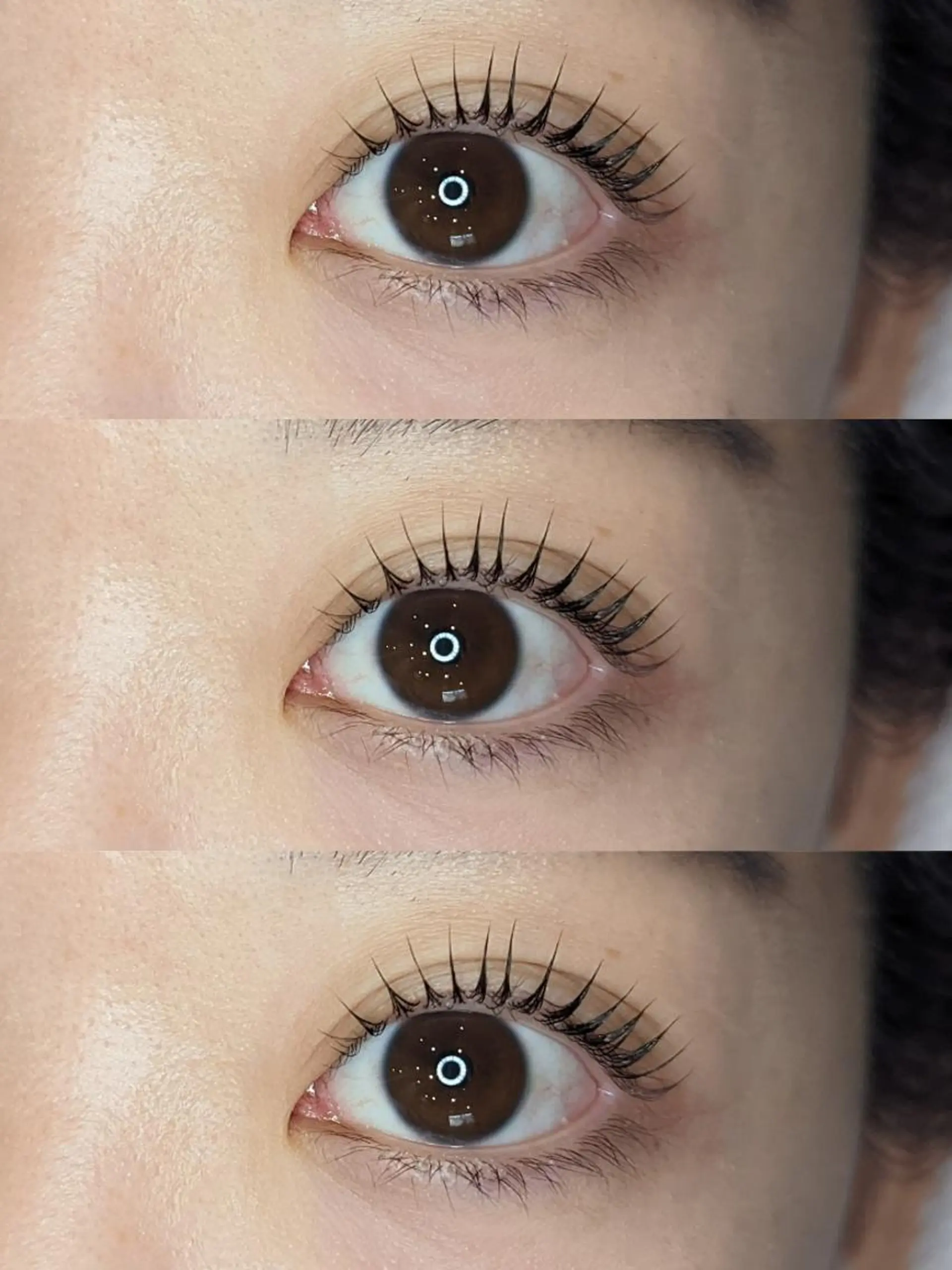 マツエク・マツパ STEEL所属・【STEEL池袋】 🌈MASHIMAのマツエク・マツパデザイン