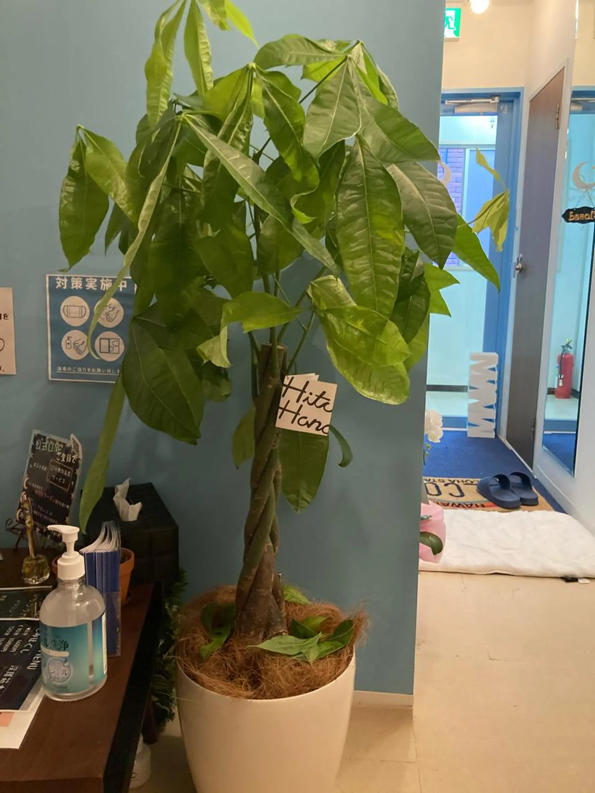 リラク 【新宿ﾘﾗｸ】Sea the Nightのエステ・リラクイメージ