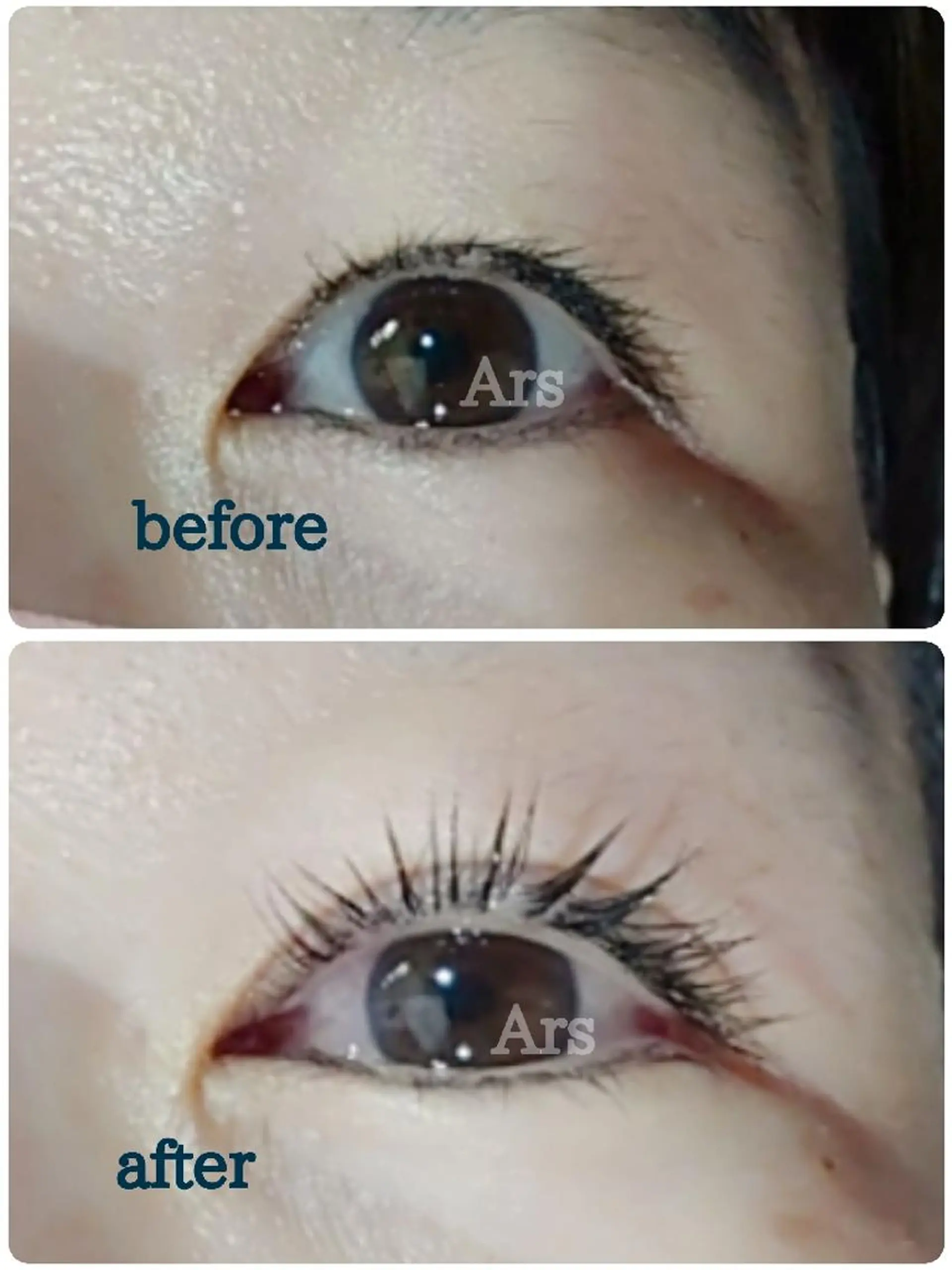 マツエク・マツパ アイリッドアップパーマ Ars      (ｱﾙｽ)のマツエク・マツパデザイン