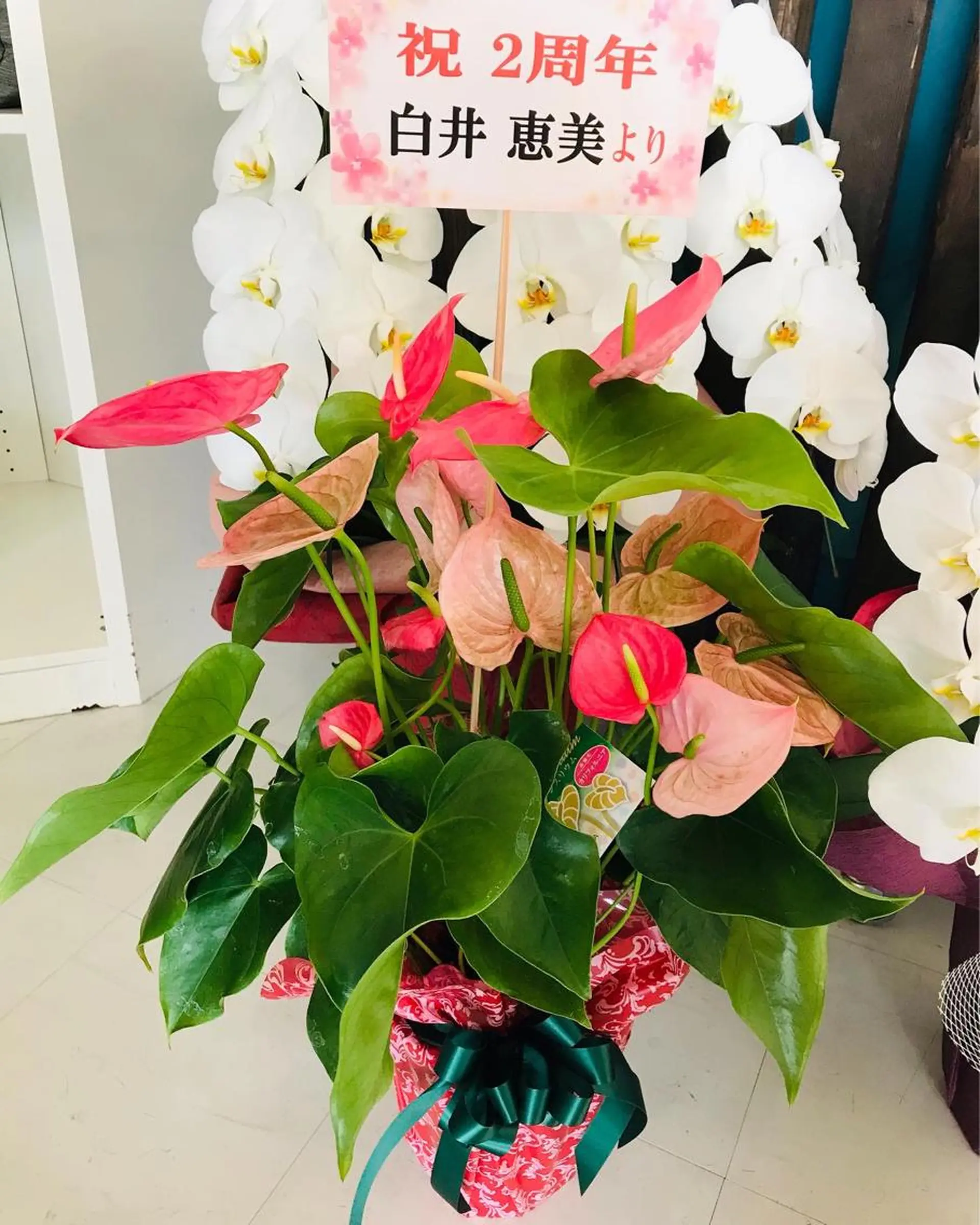 マツエク・マツパ アイブロウ アイラッシュスペース トラスト川越のマツエク・マツパデザイン