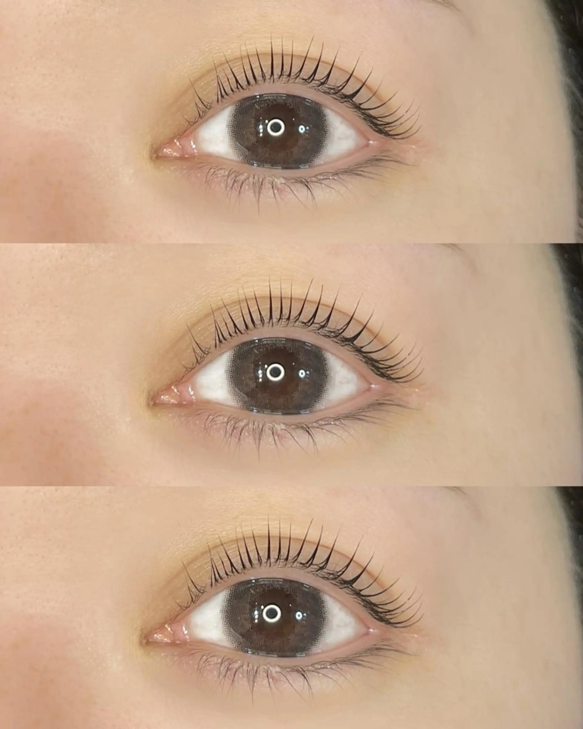 マツエク・マツパ ナチュラル  ︎︎ 海苔みのマツエク・マツパデザイン