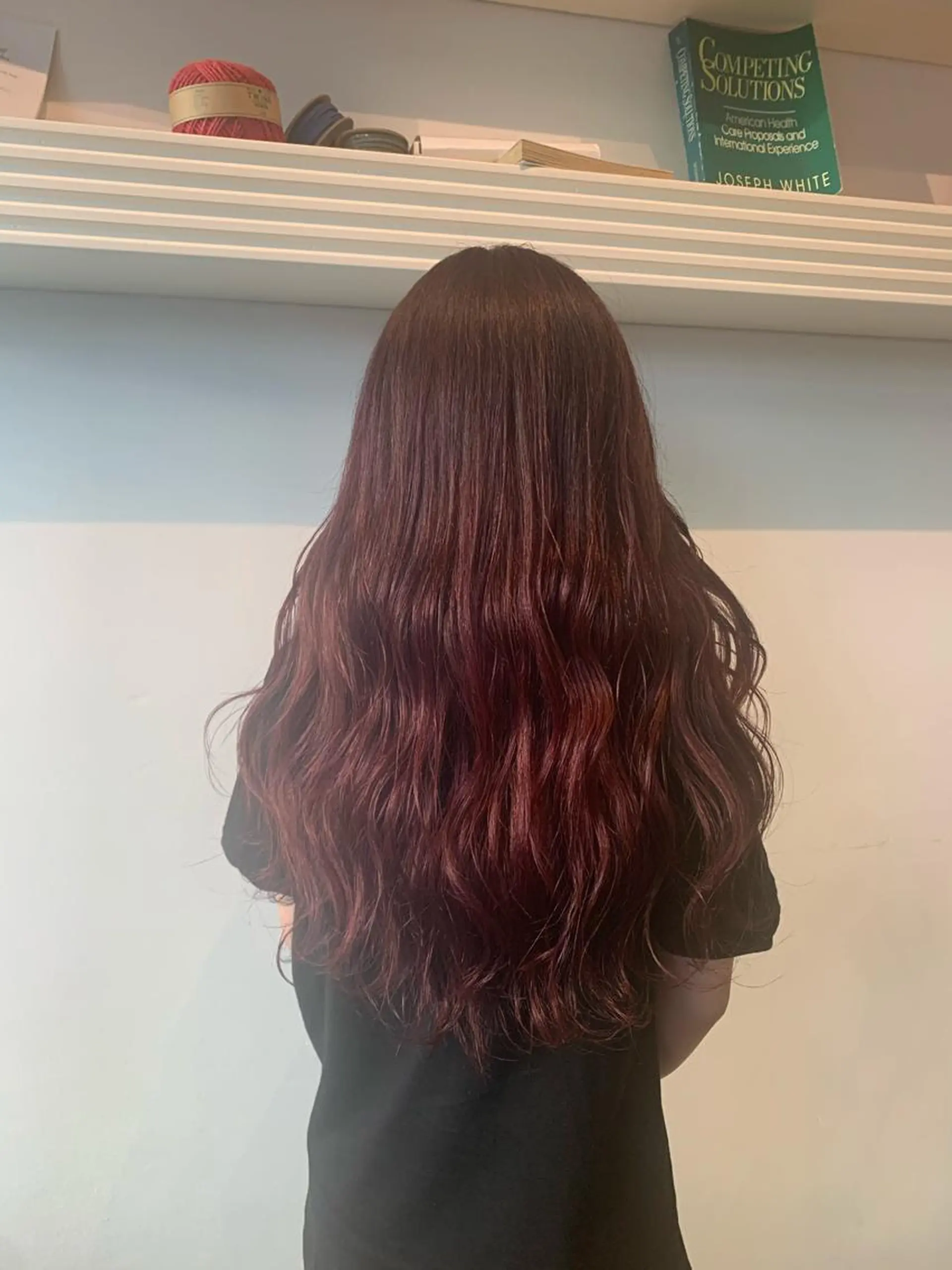 ロング カラー ハイトーン/レイヤー 💜Akaneのヘアスタイル