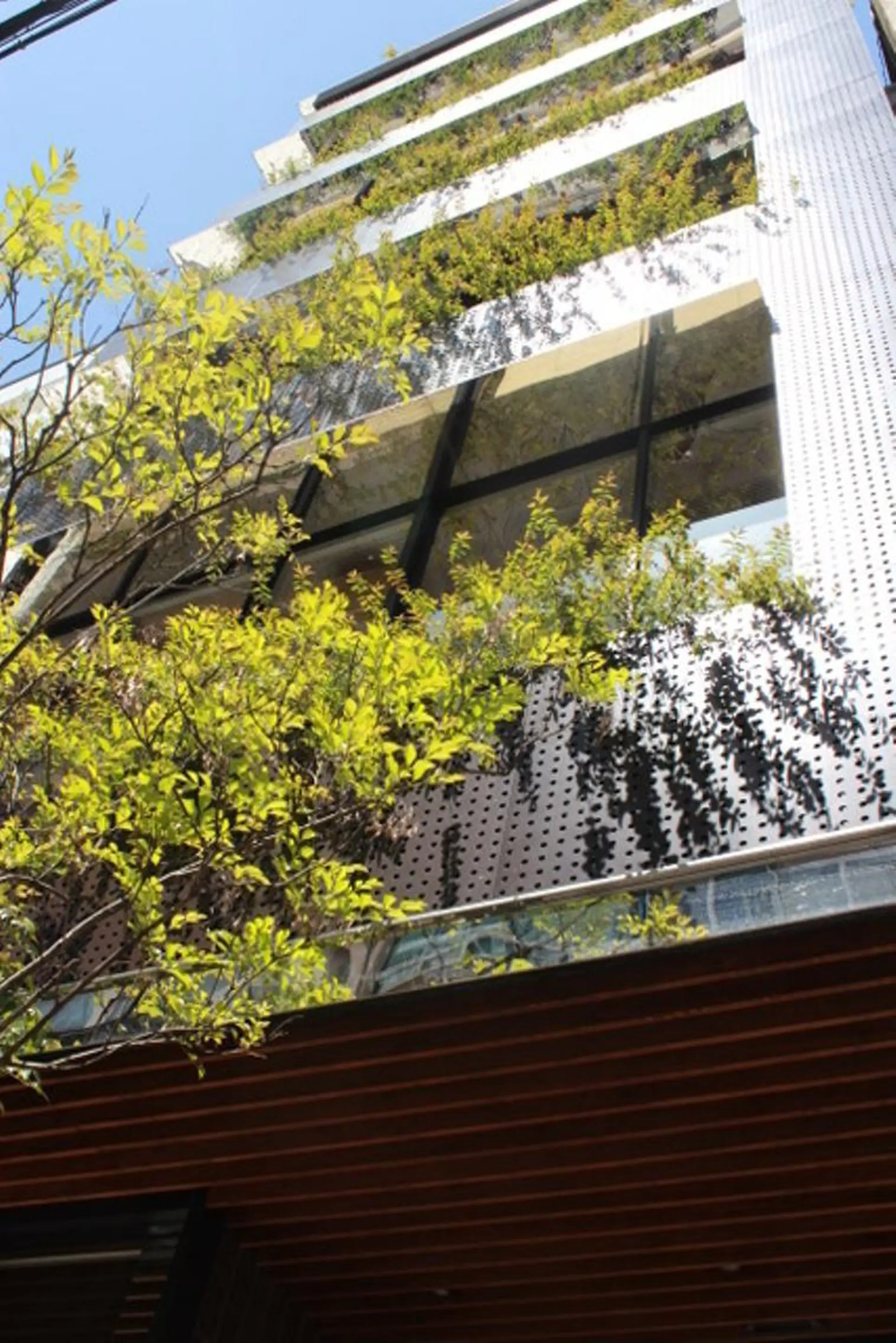 高橋 雅人のマツエク・マツパデザイン