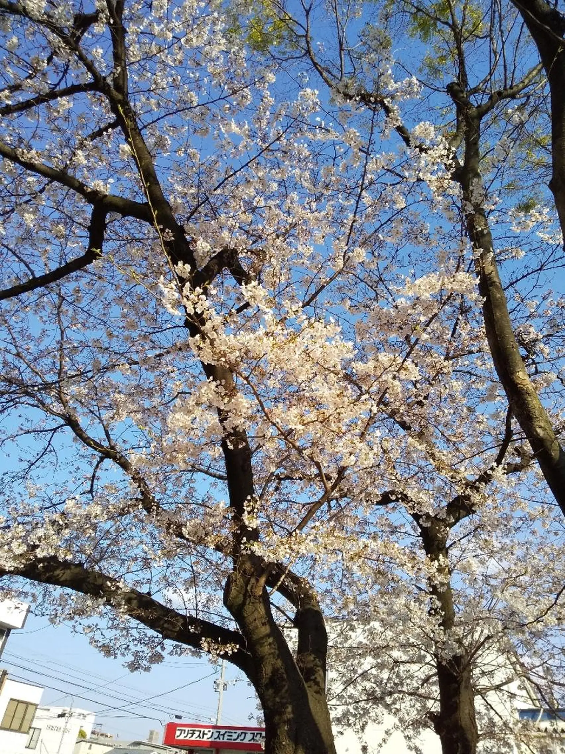 POLA福岡東店 木山 のその他イメージ
